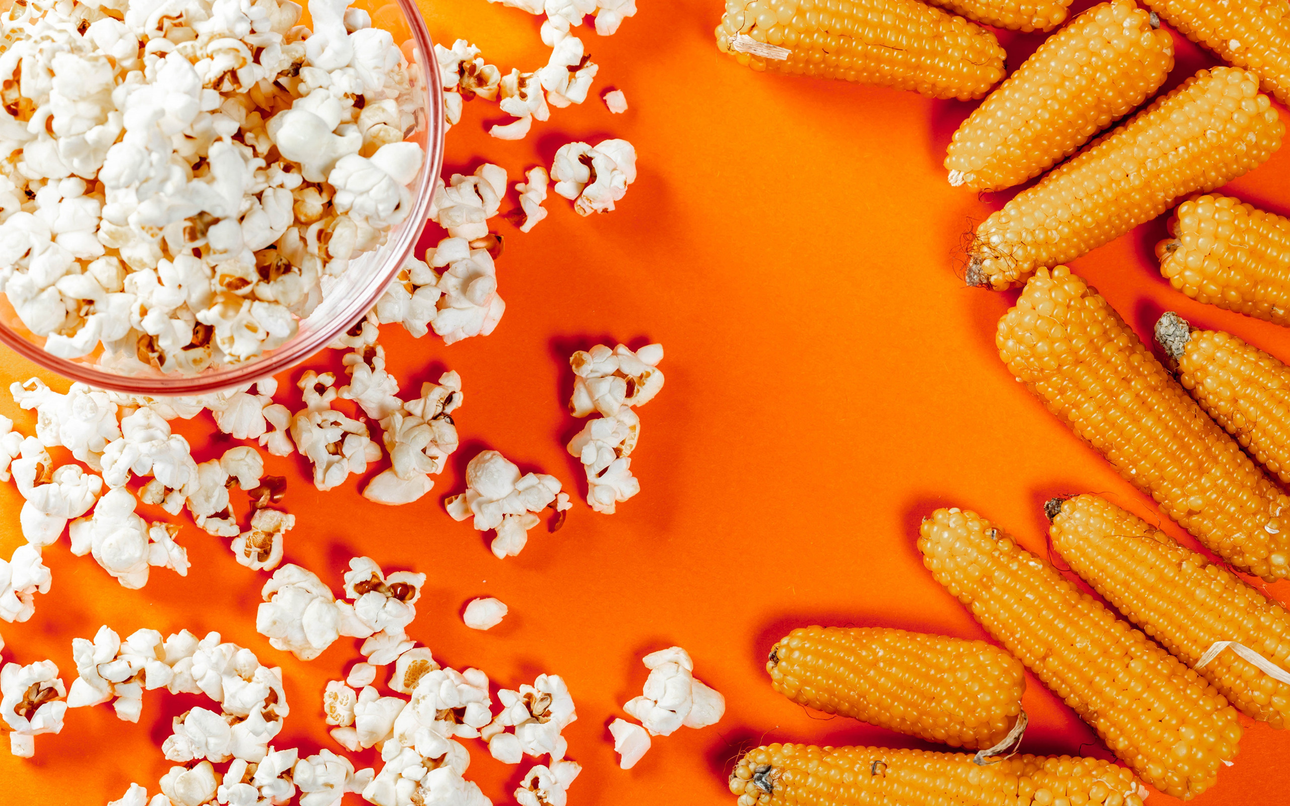 Corn cobs, Popcorn Wallpaper, 2560x1600 HD Desktop