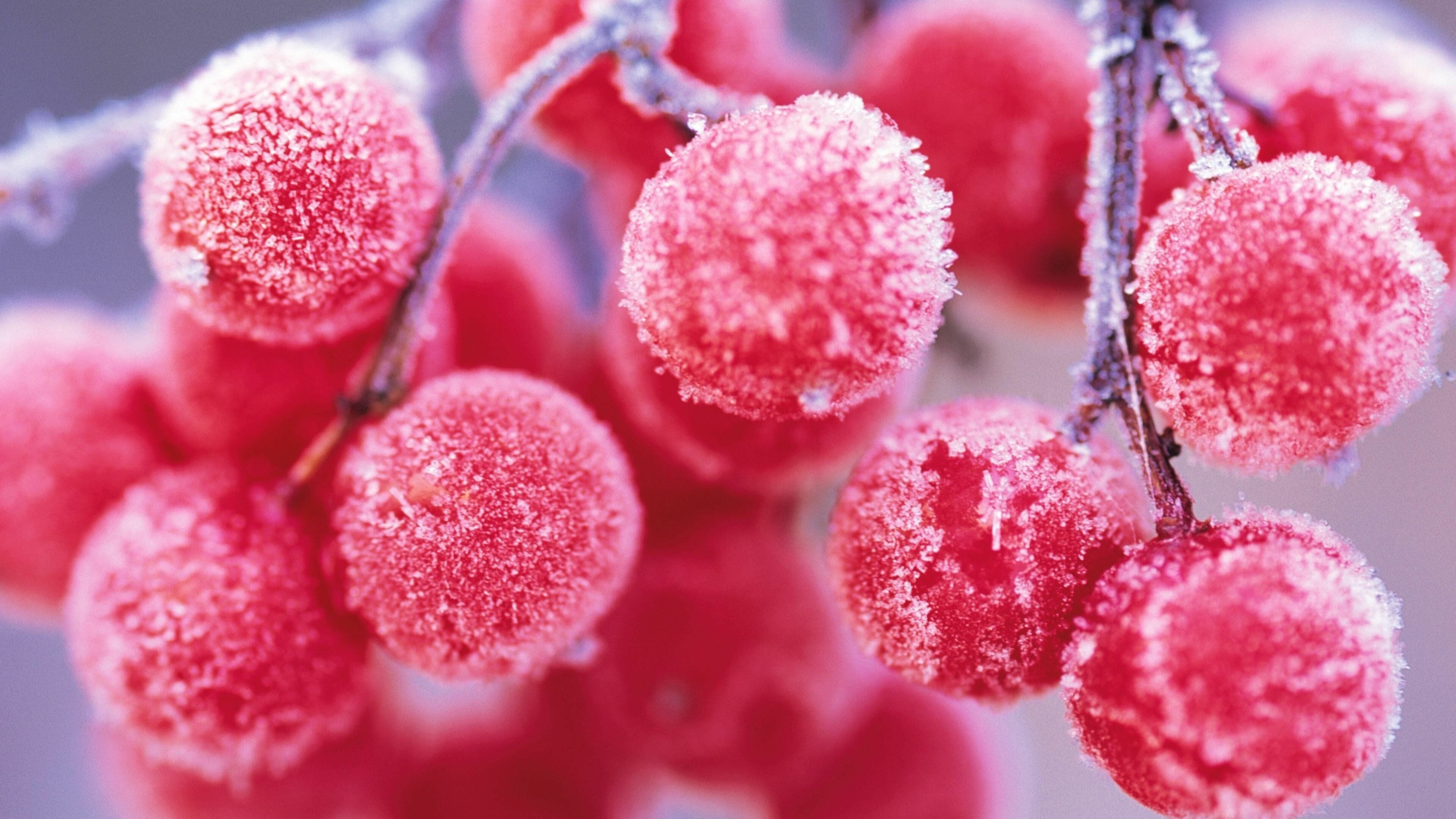 Rowan, Fruits Wallpaper, 3840x2160 4K Desktop