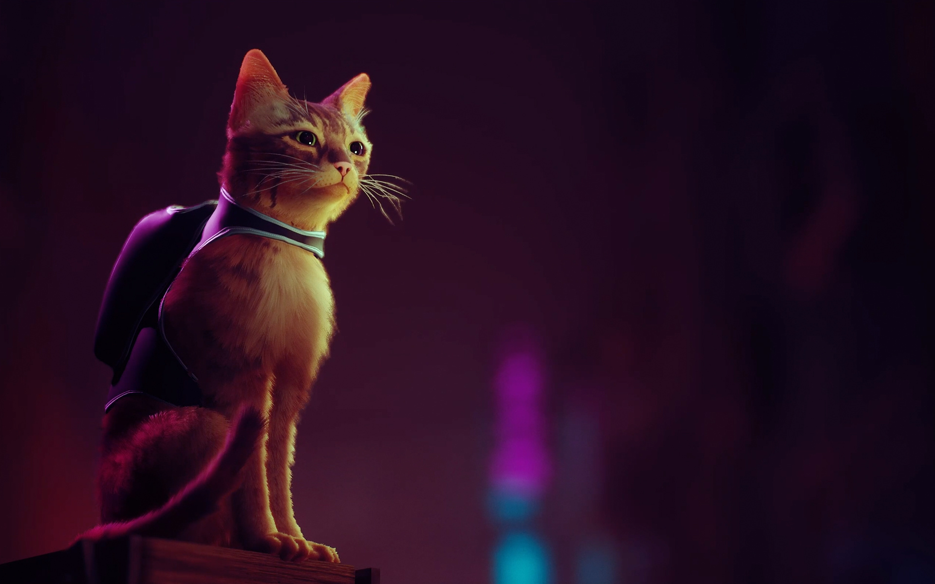 Stray game, Monocle-wearing cat, Unique wallpaper, Cat with monocle, 1920x1200 HD Desktop