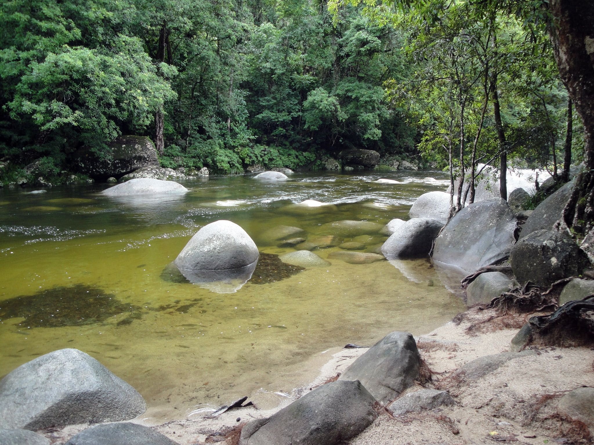 Daintree National Park, Mossman Gorge, Australien vor und zurck, Daintree, 2050x1540 HD Desktop