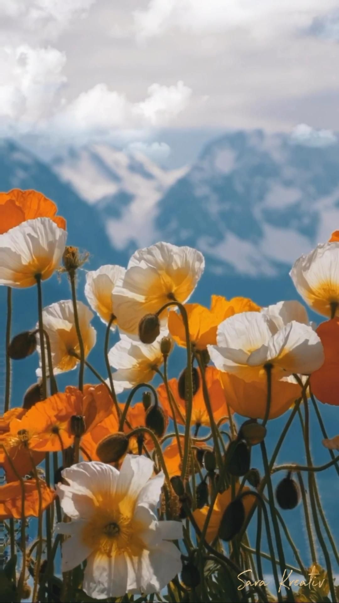 Wildflowers photography, Nature illustration, 1080x1920 Full HD Phone