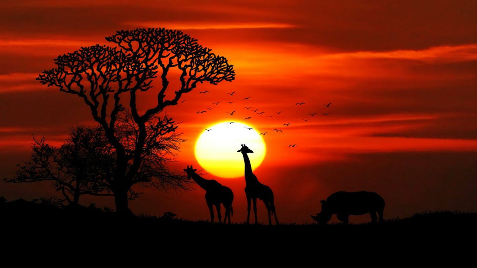 Eswatini travels, Osprey enterprises, Eswatini projects, projects Eswatini, 1920x1080 Full HD Desktop