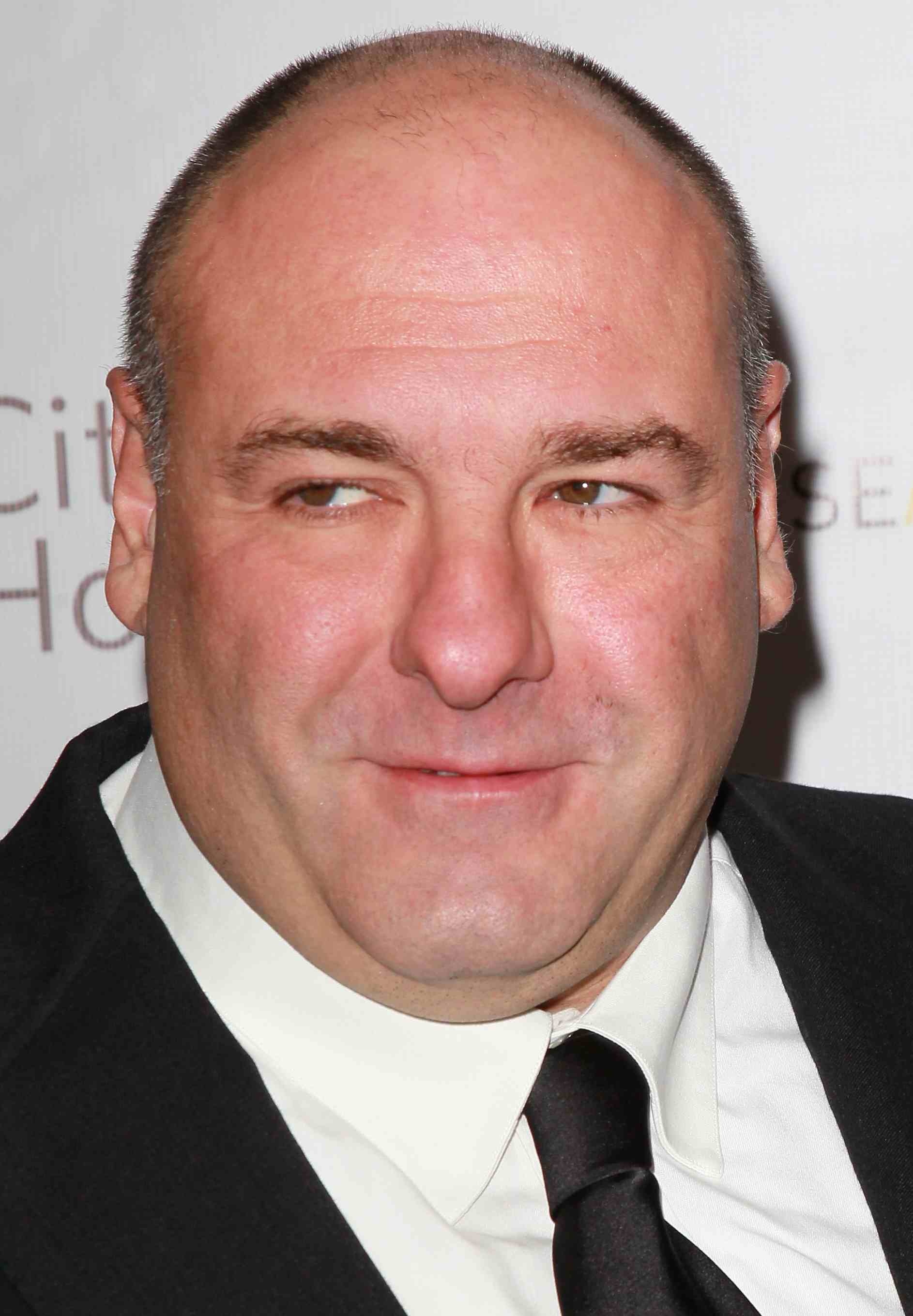 James Gandolfini, Celebrity, 4K Wallpapers, Pictures, 1890x2720 HD Phone