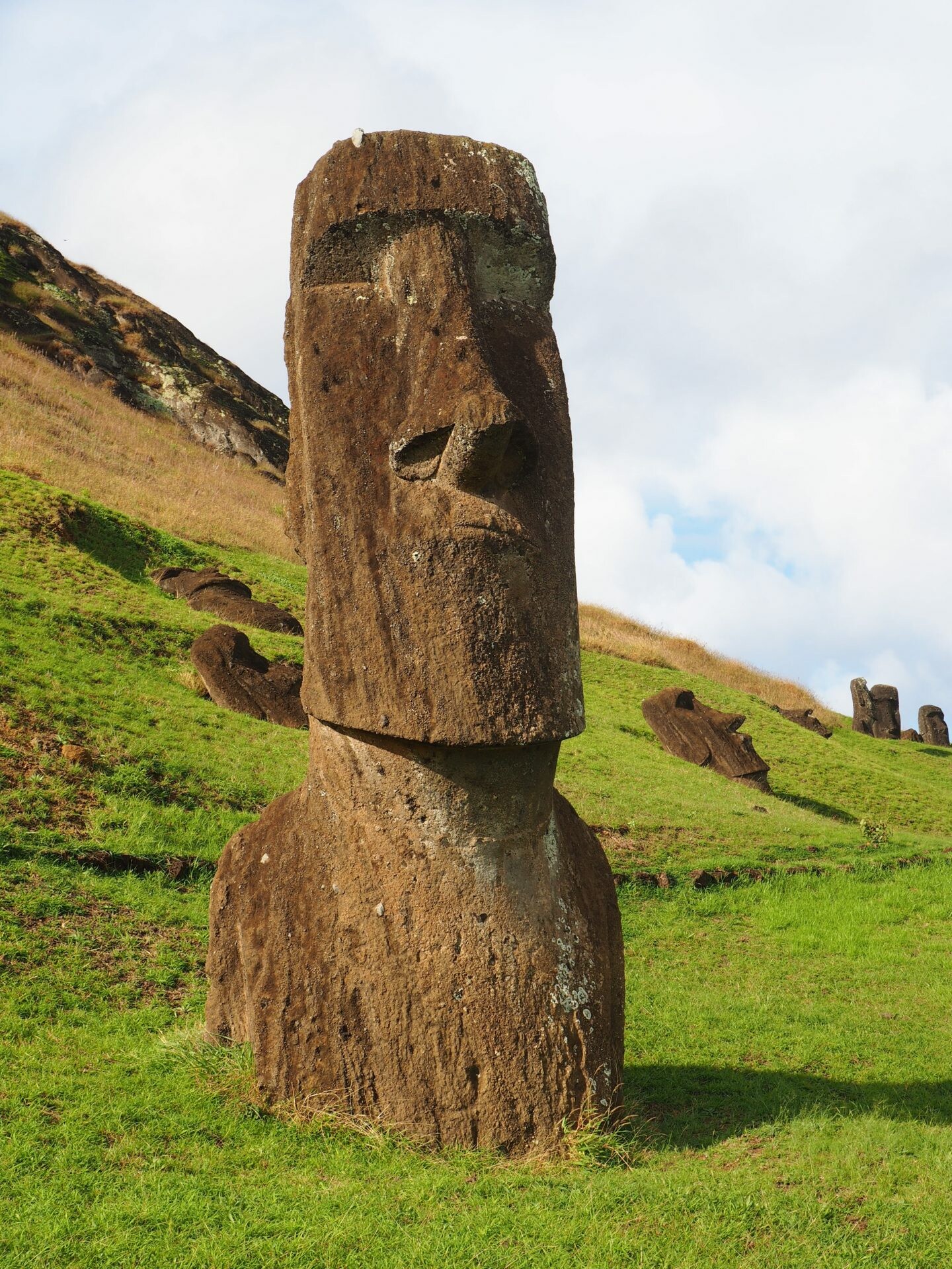 Rano Raraku, Moai Wallpaper, 1440x1920 HD Phone