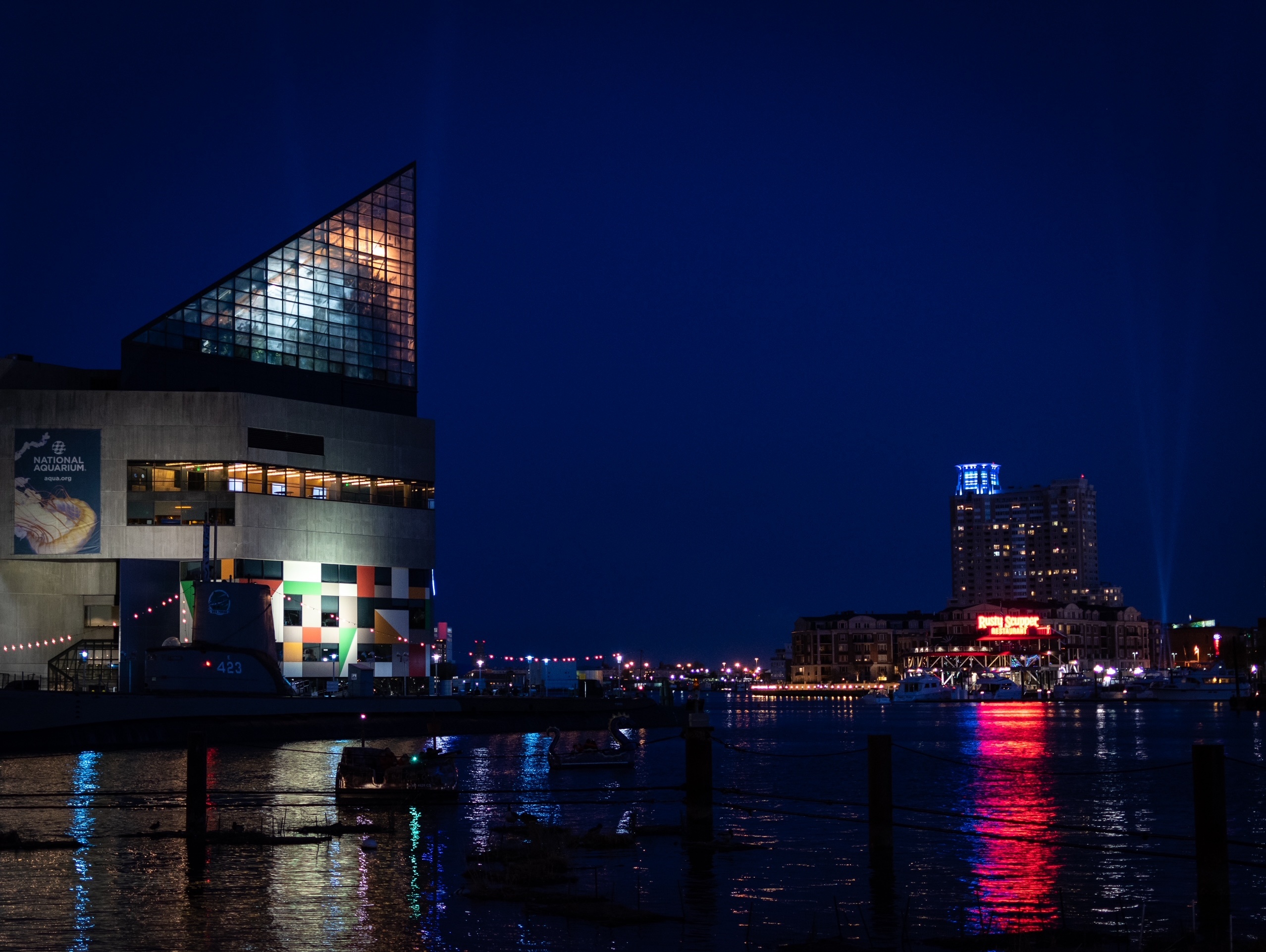 National Aquarium, Baltimore, Photo Essay, Bmoreart, 2560x1930 HD Desktop