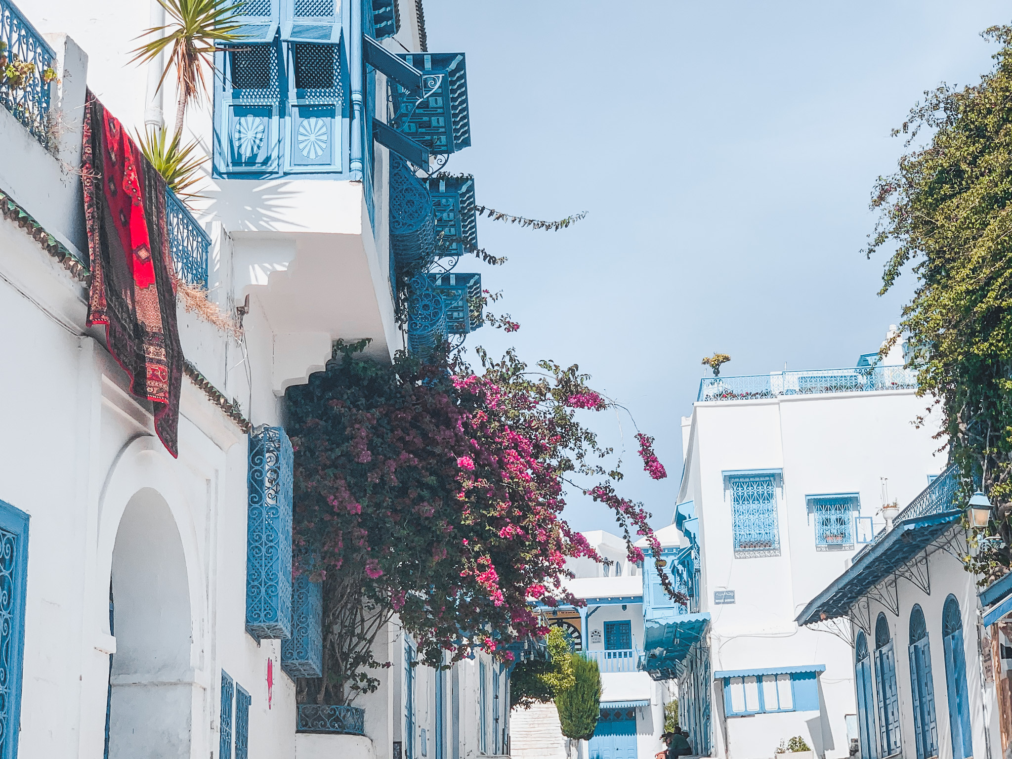 Tunis, Sidi Bou Said, Tunisia Guru, 2050x1540 HD Desktop