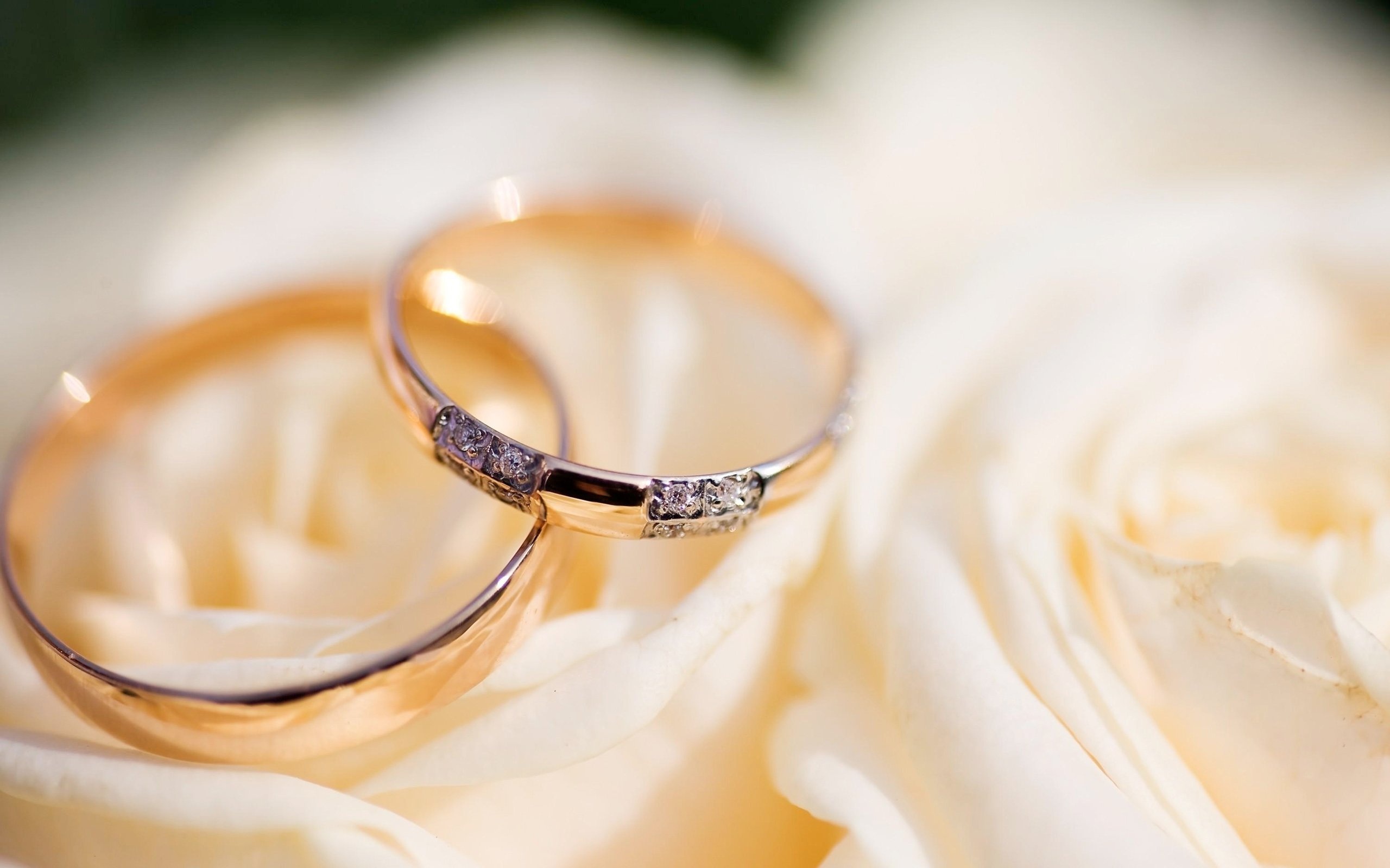 Wedding rings, Diamond Jewelry Wallpaper, 2560x1600 HD Desktop