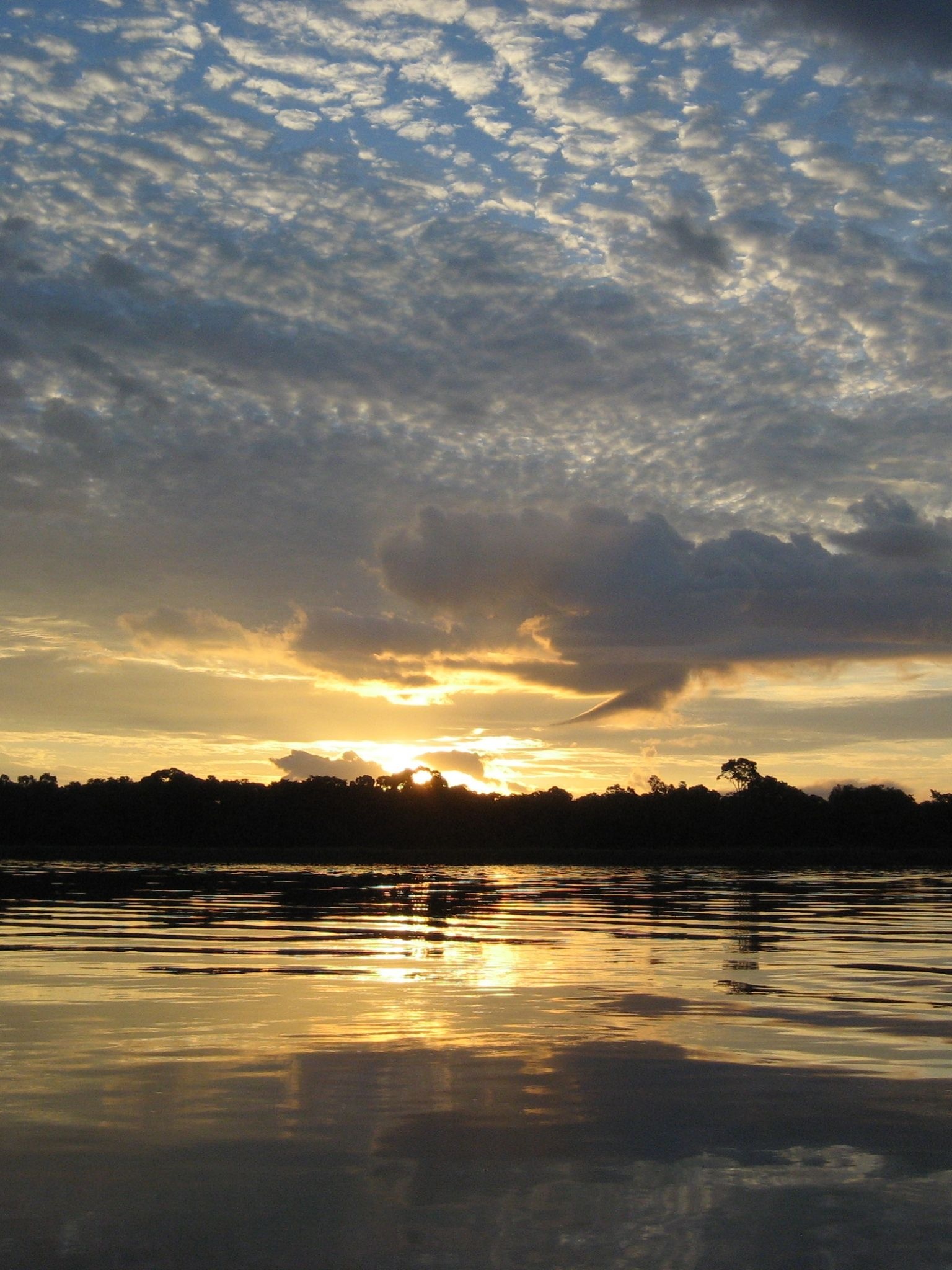 Congo River, Travel adventure, Majestic waters, Untamed beauty, 1540x2050 HD Phone