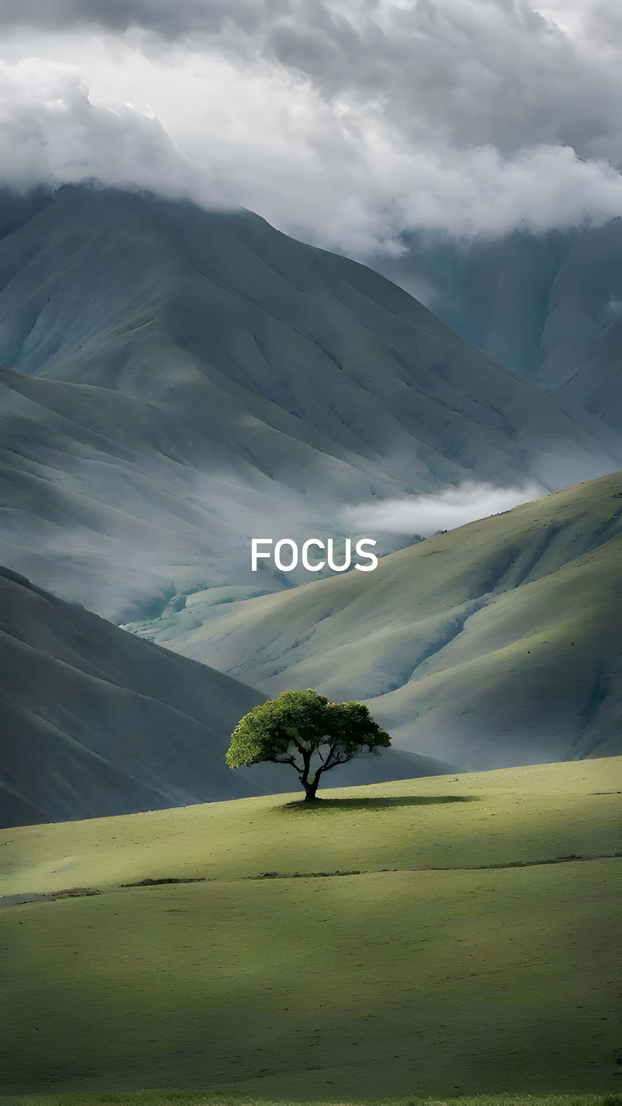 2050x3640