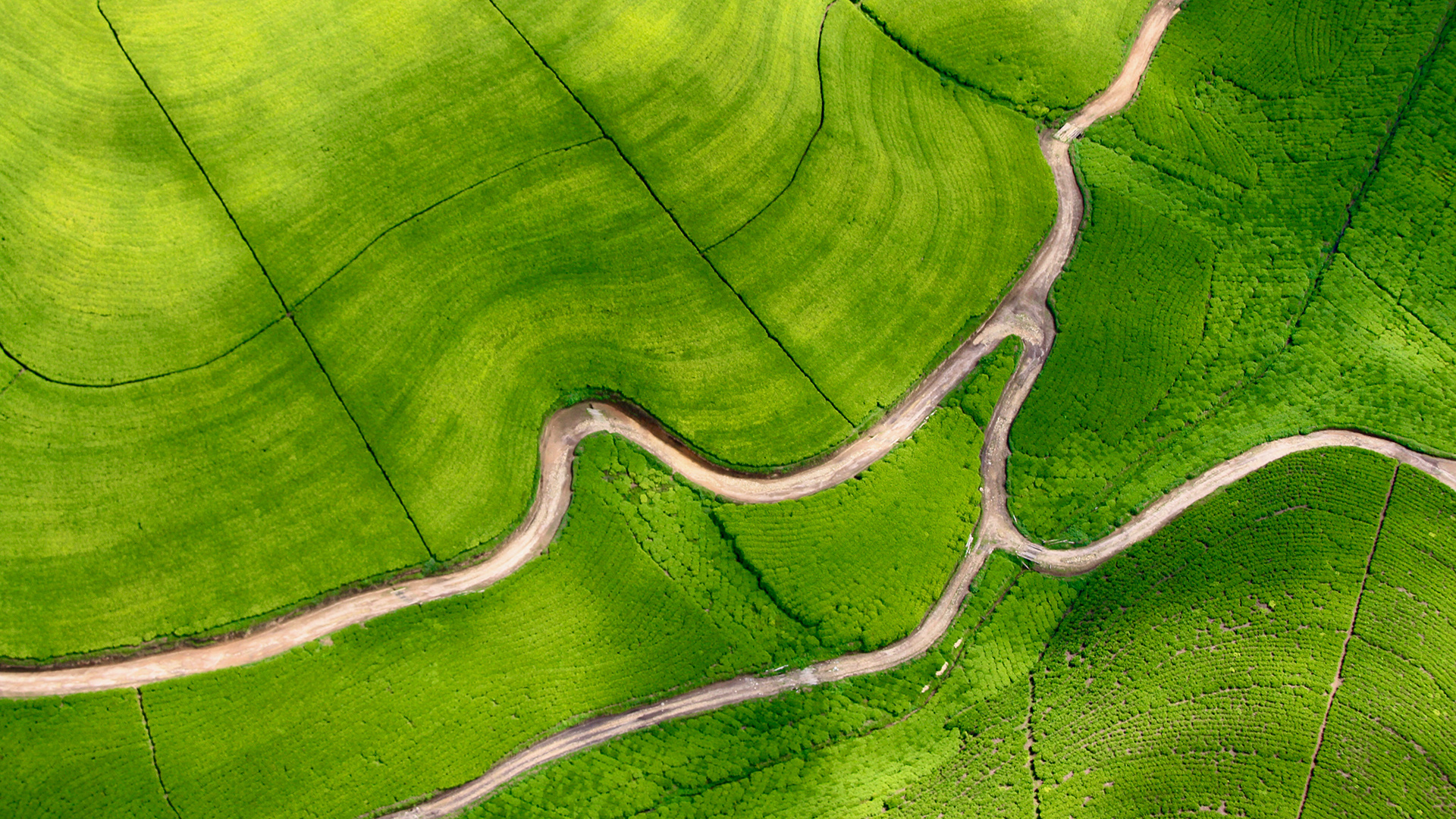 Rwanda travels, Aerial photography, Tea plantations, Wallpaper resolution, 1920x1080 Full HD Desktop