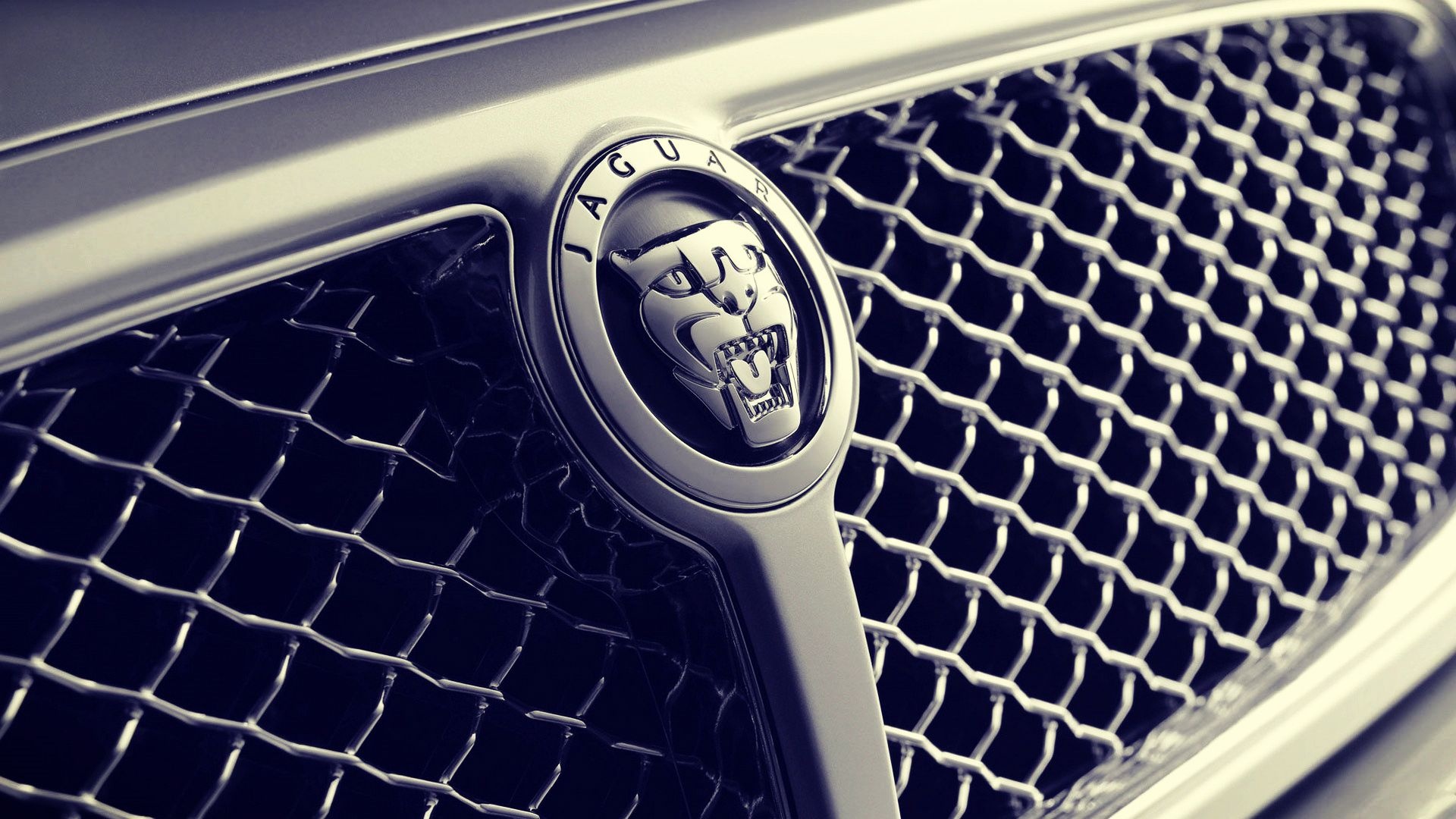 Radiator Grille, Jaguar Logo Wallpaper, 1920x1080 Full HD Desktop