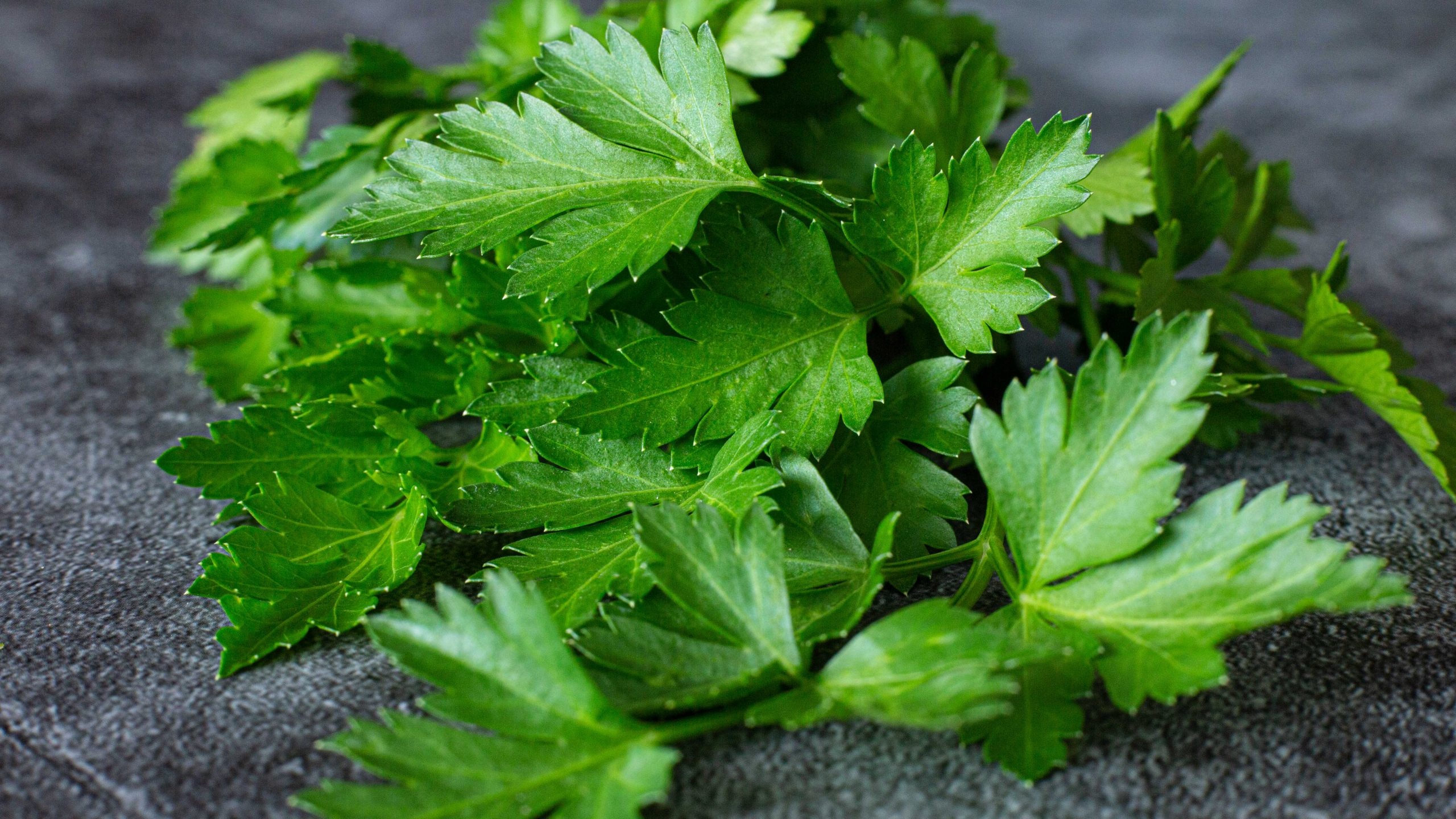 Parsley herb, Portuguese garlic shrimp recipe, Flavorful dish, Just Cook with Michael, 2560x1440 HD Desktop