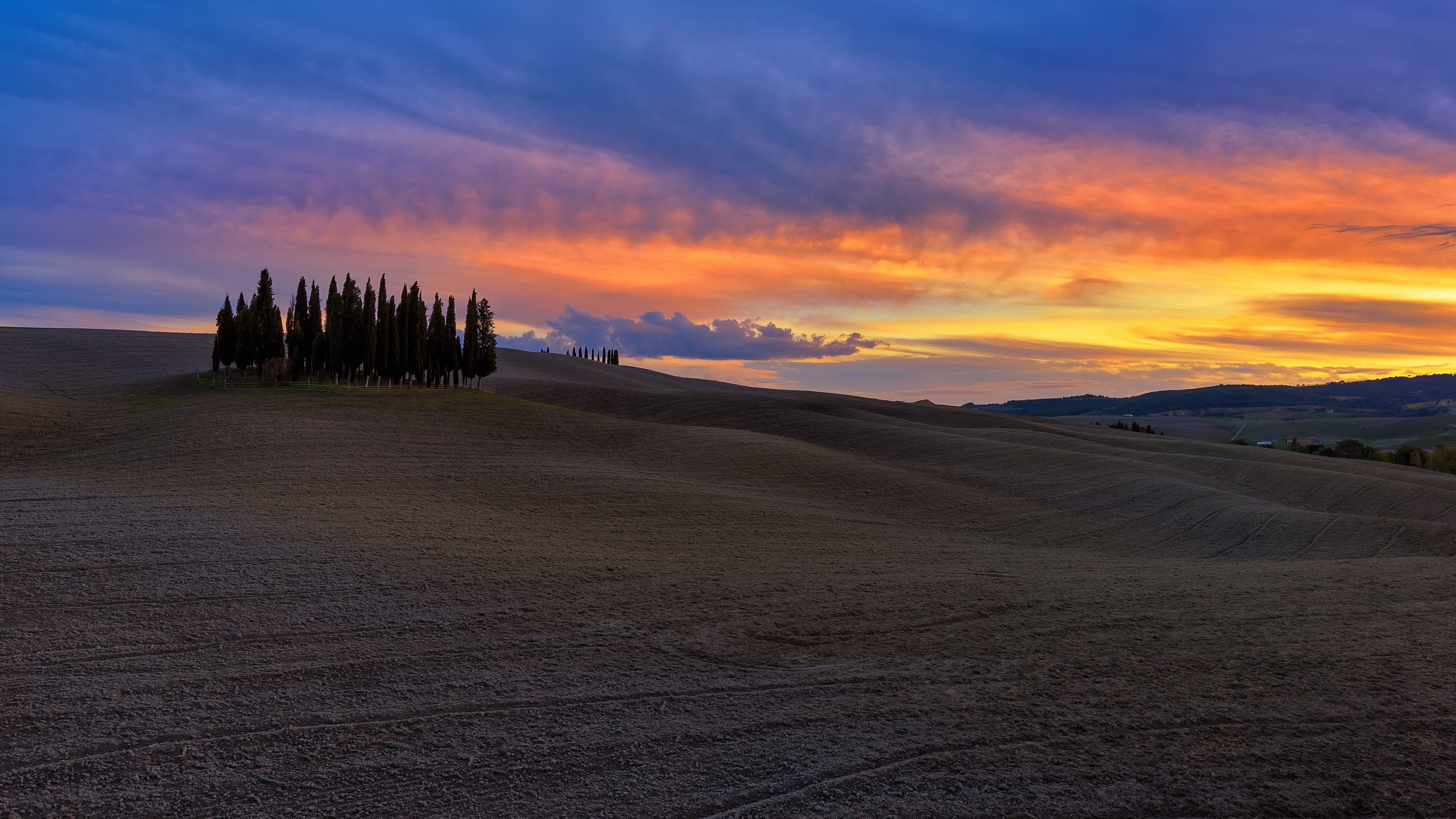 Cypress HD wallpapers, Nature, Backgrounds, Tree, 3840x2160 4K Desktop