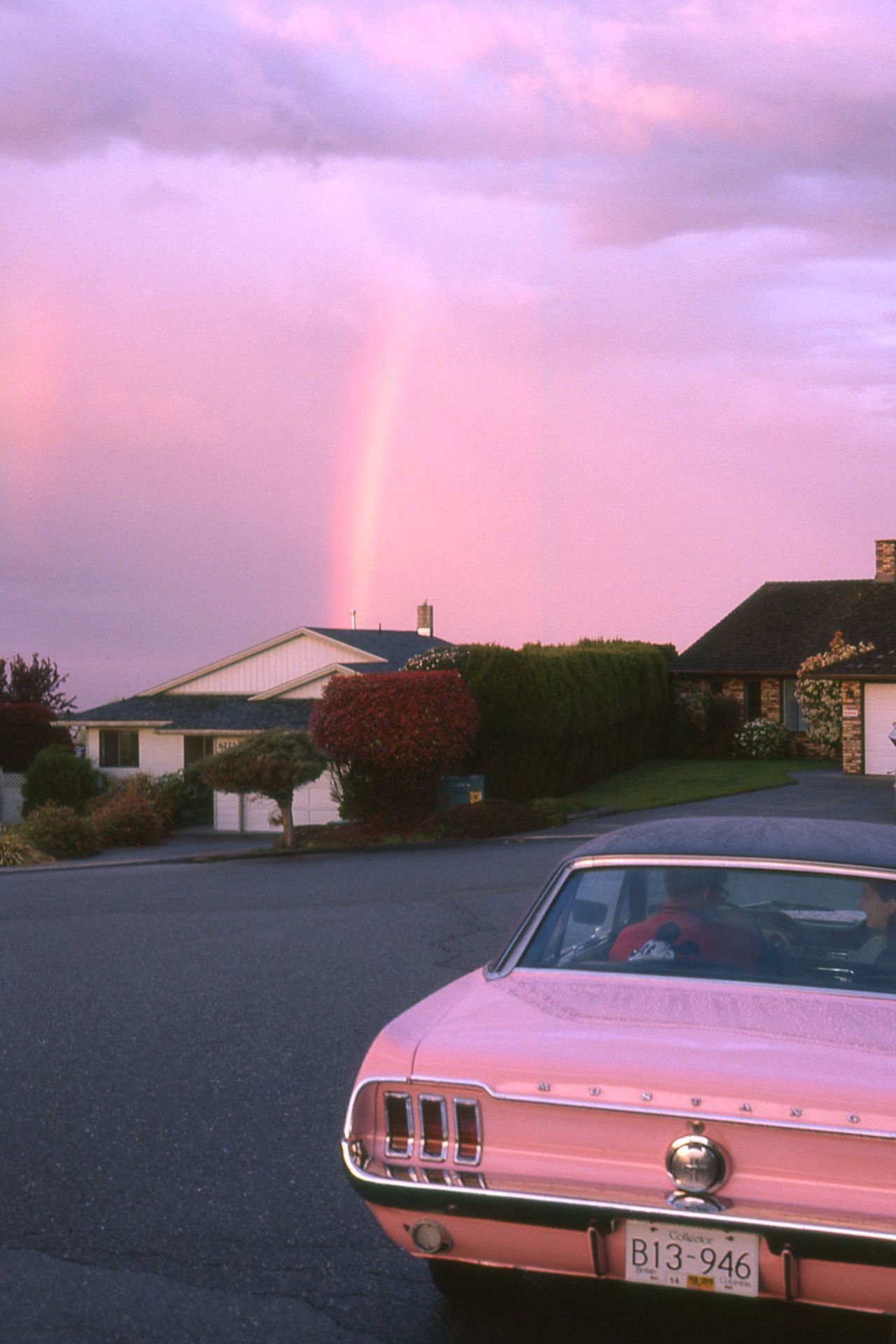 pink Ford Mustang, rainbow in pink sky, suburban neighborhood street, HD Phone wallpaper