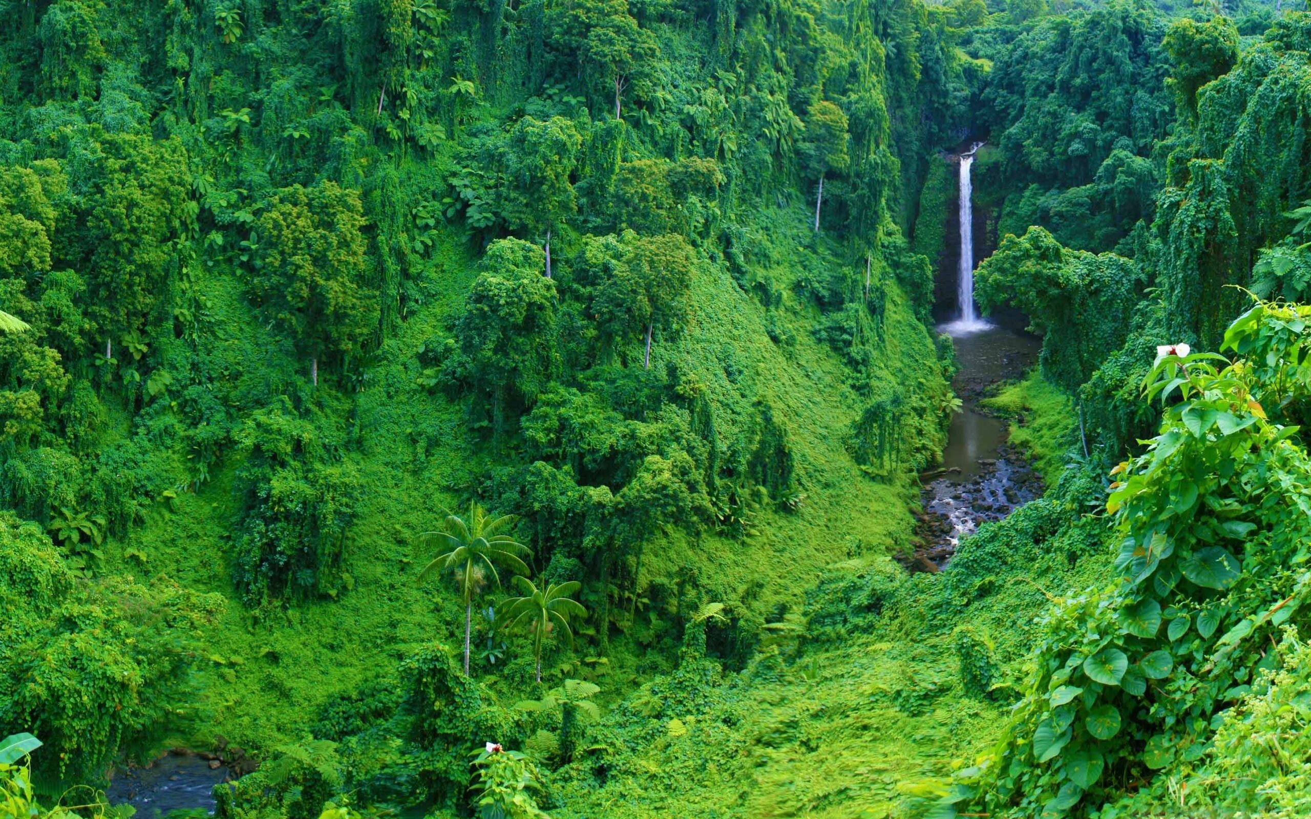 Sopoaga Falls, Jungles Wallpaper, 2560x1600 HD Desktop