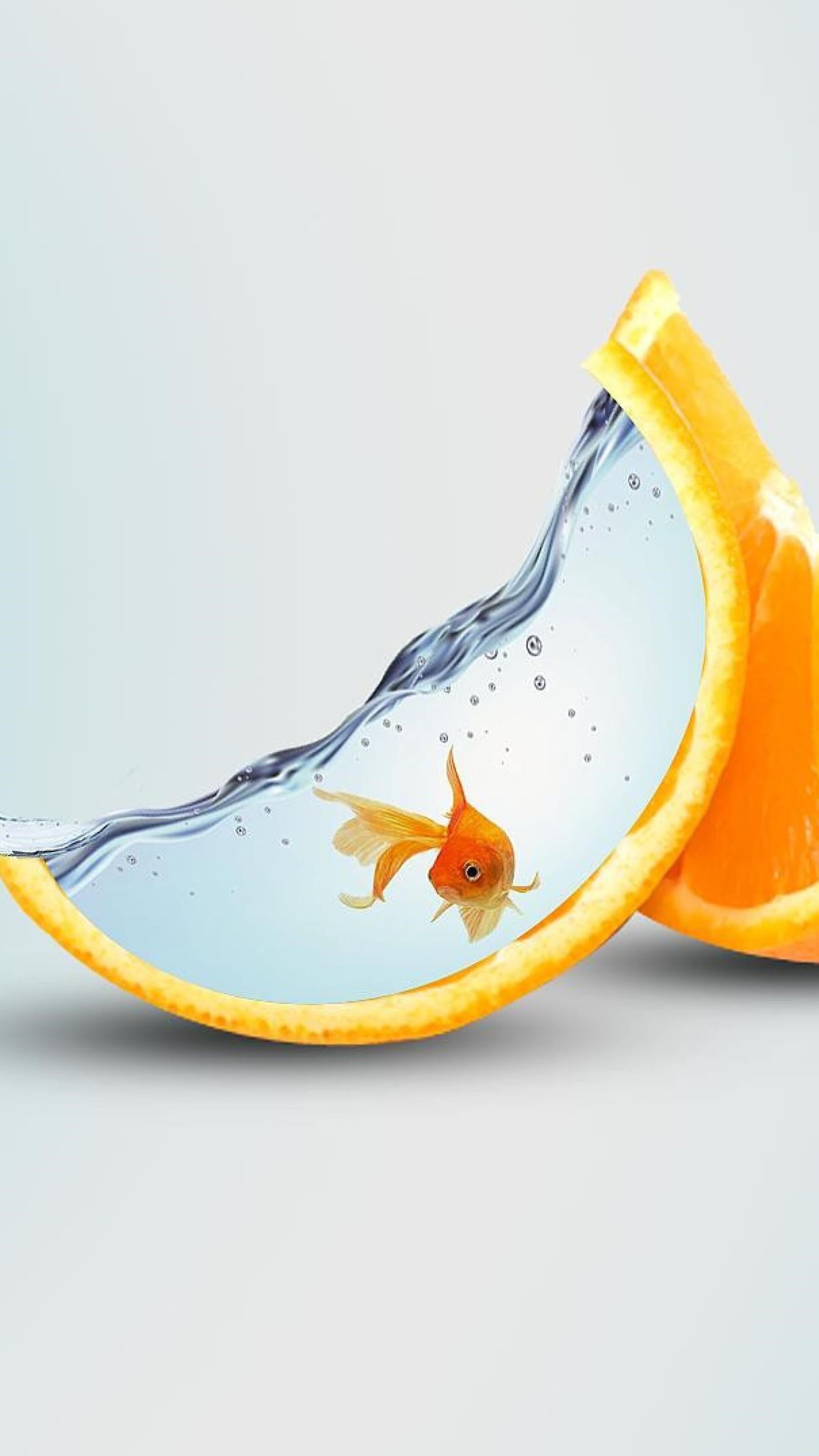 Goldfish, Orange artwork, Sony Xperia wallpapers, 2160x3840 4K Phone