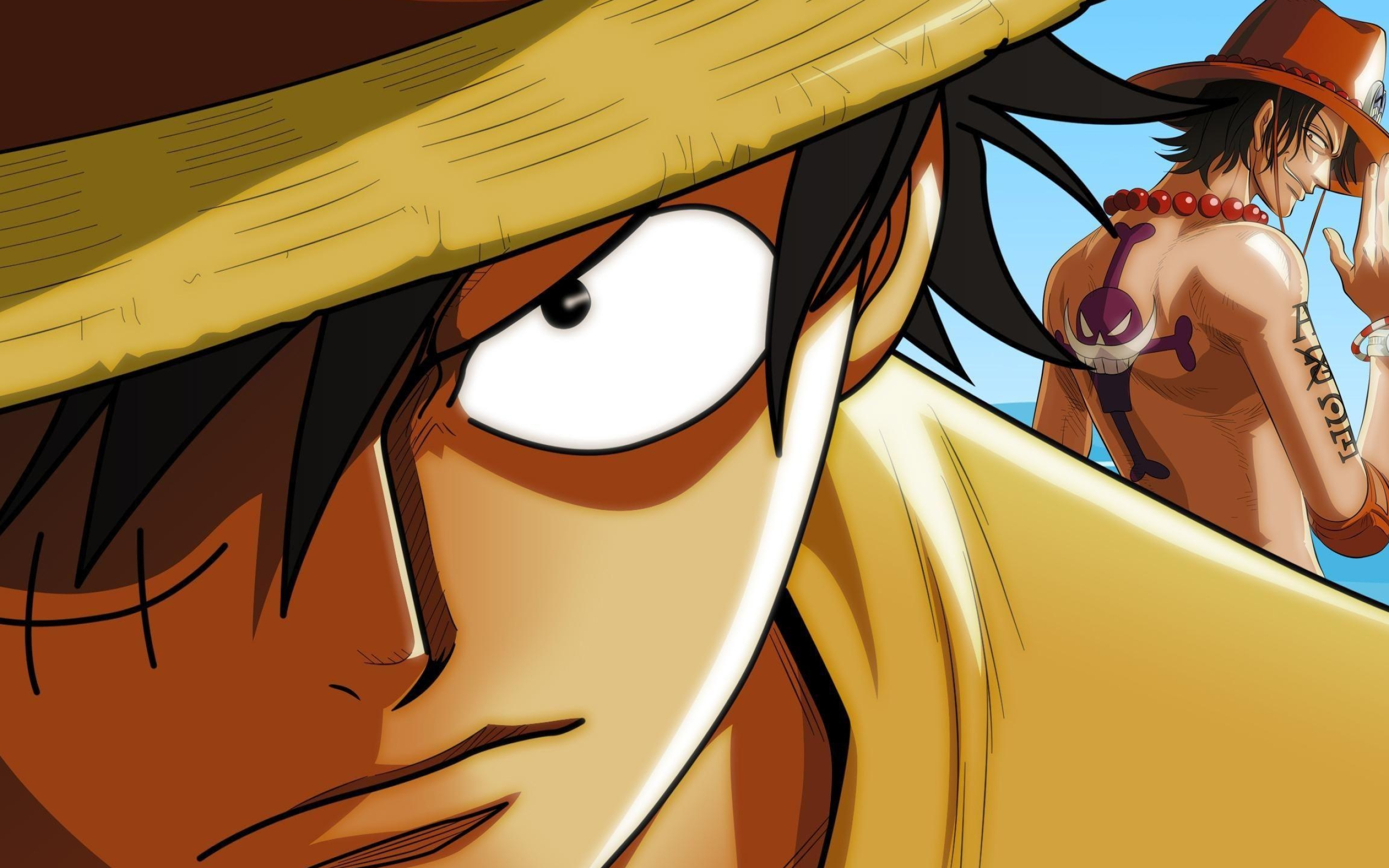 Monkey D. Luffy, Portgas D. Ace, Whitebeard Pirates tattoo, HD Desktop wallpaper