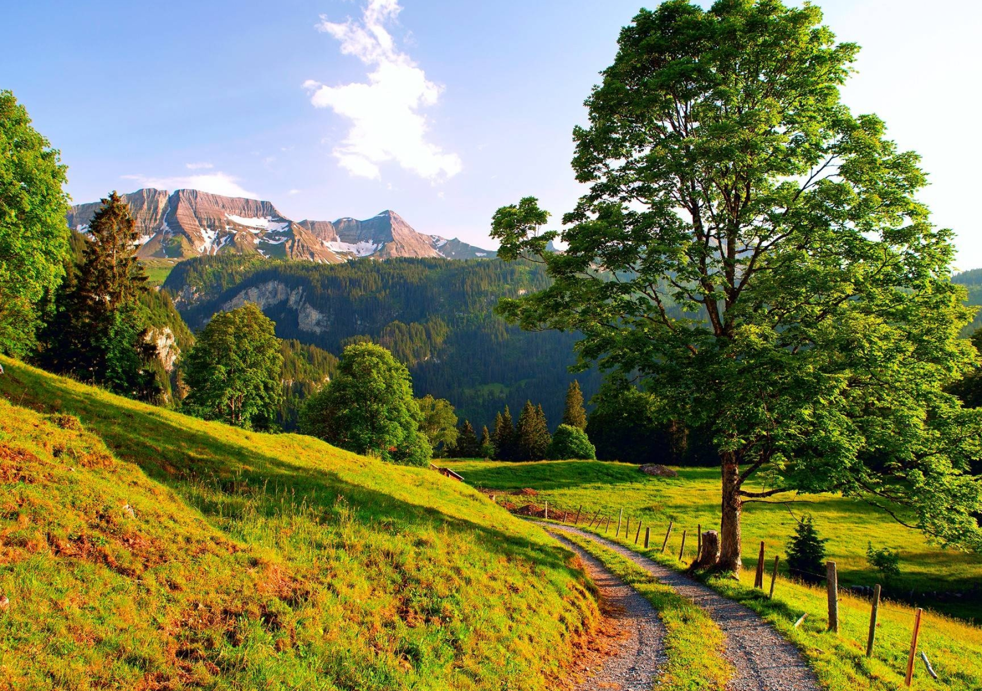 rocky Alpine mountain peaks, winding gravel country path, sunlit green alpine meadow, HD Desktop wallpaper