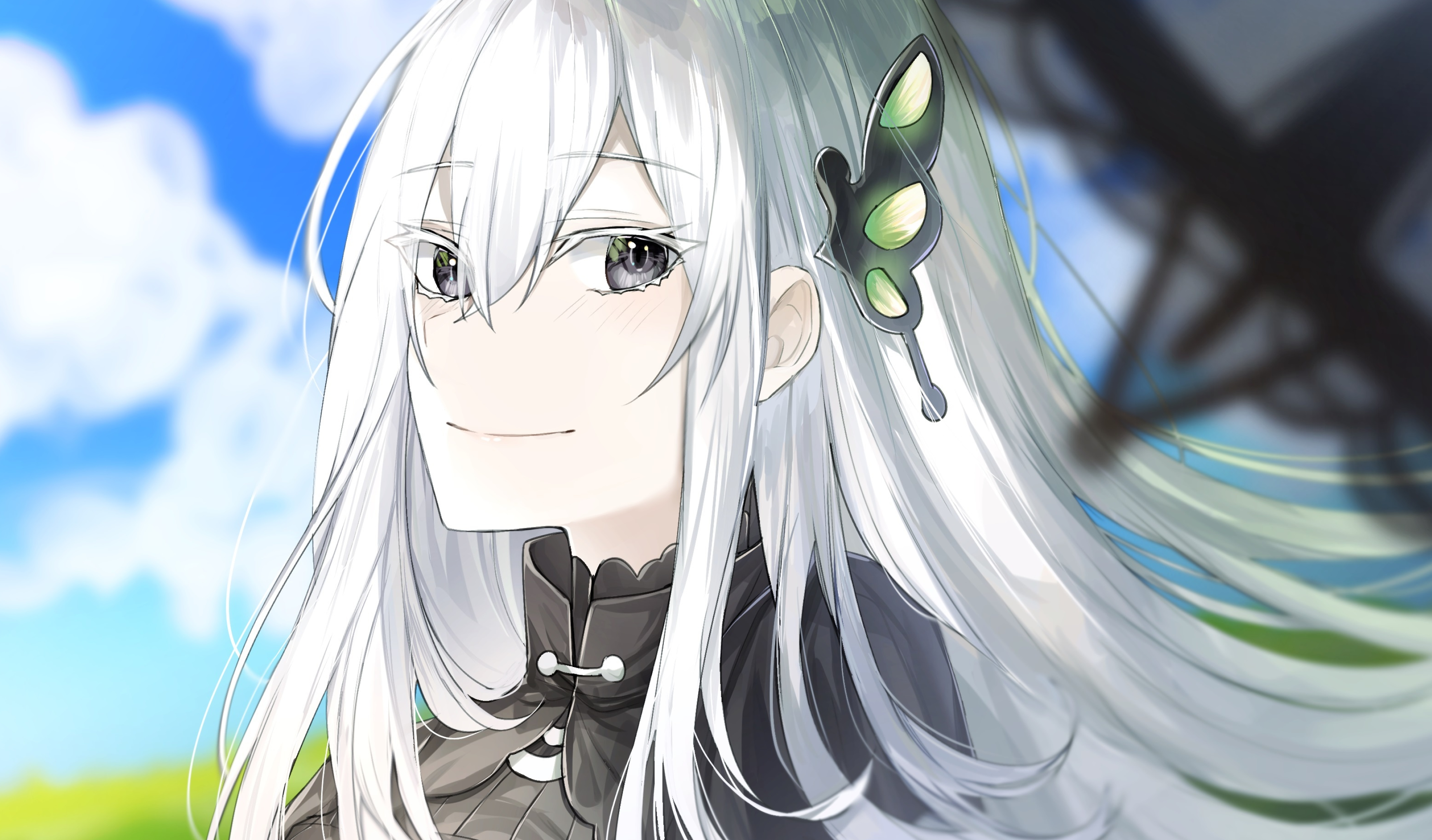 Echidna from Re:Zero, Green butterfly hair ornament, Long white hair, HD Desktop wallpaper