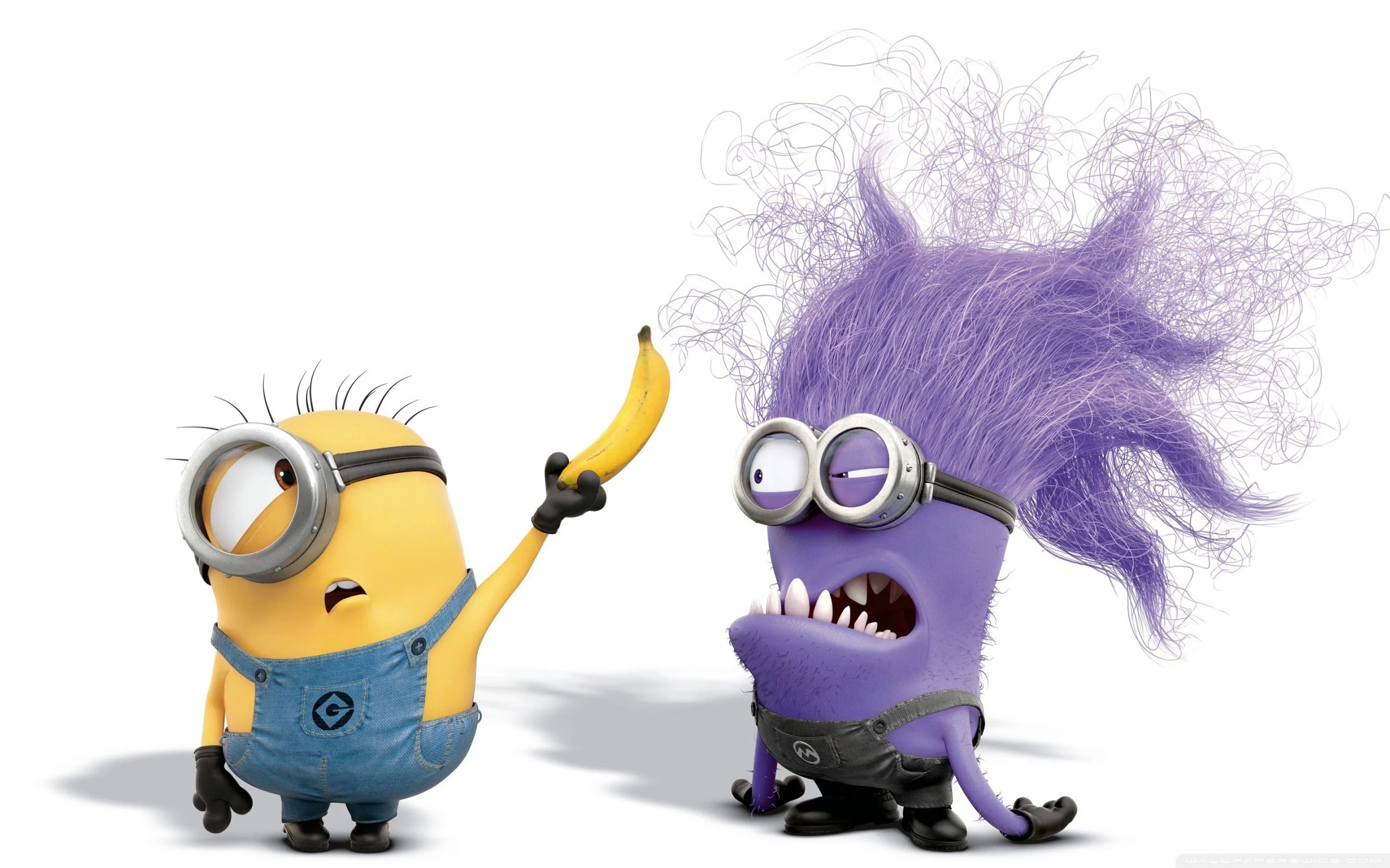 Purple Minions, Evil, Backgrounds, Animated, 2560x1600 HD Desktop