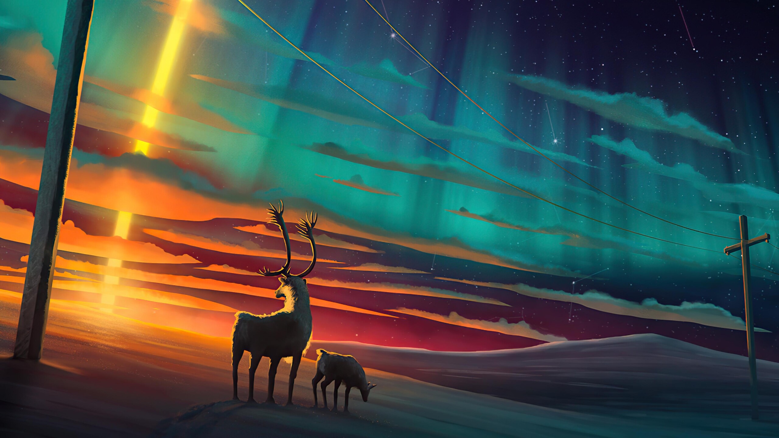 Reindeer northern lights wallpaper, HD wallpapers for tech, 2560x1440 HD Desktop