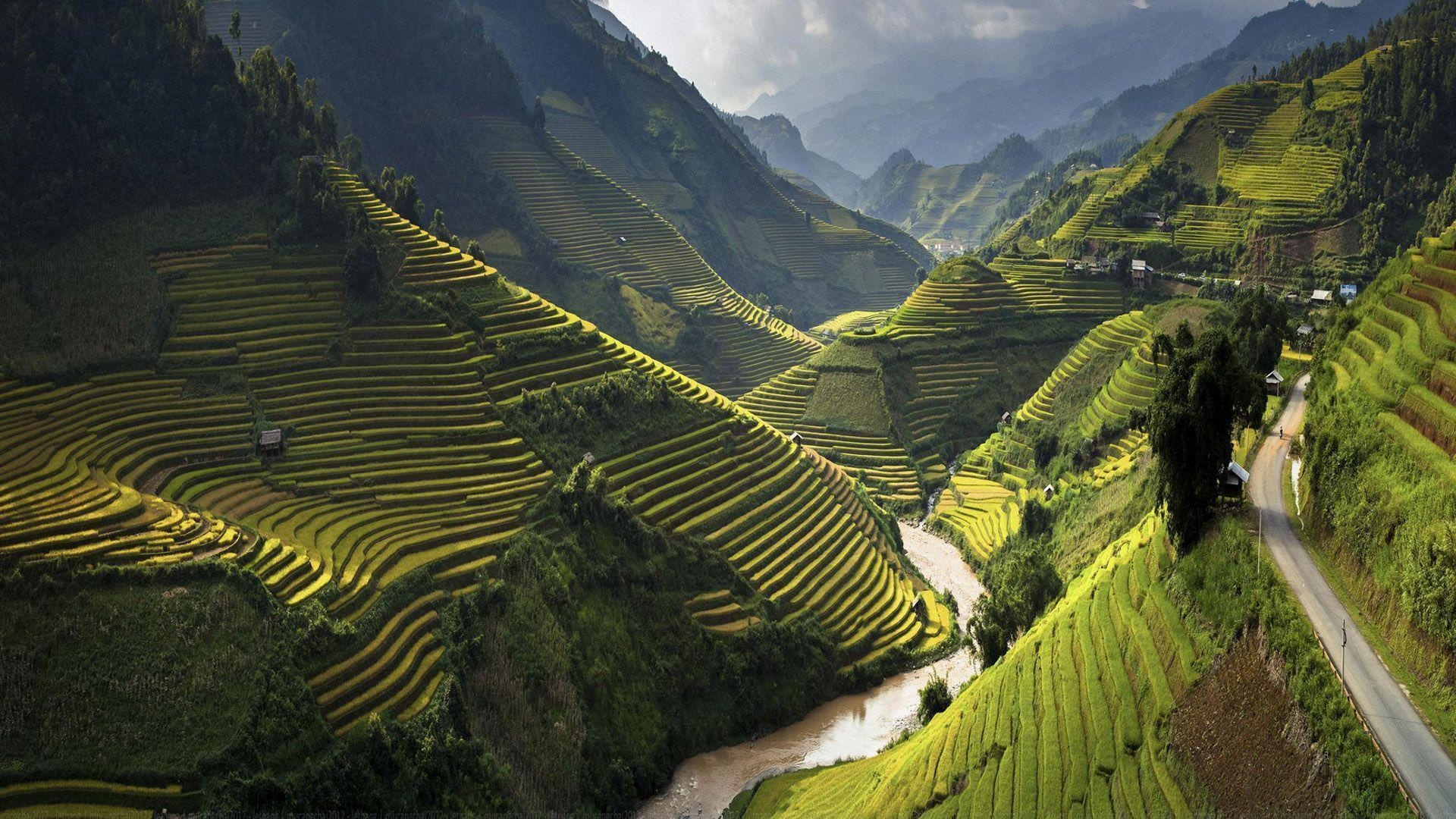 Vibrant Vietnam, Local markets, Authentic experiences, Lively street scenes, 1920x1080 Full HD Desktop