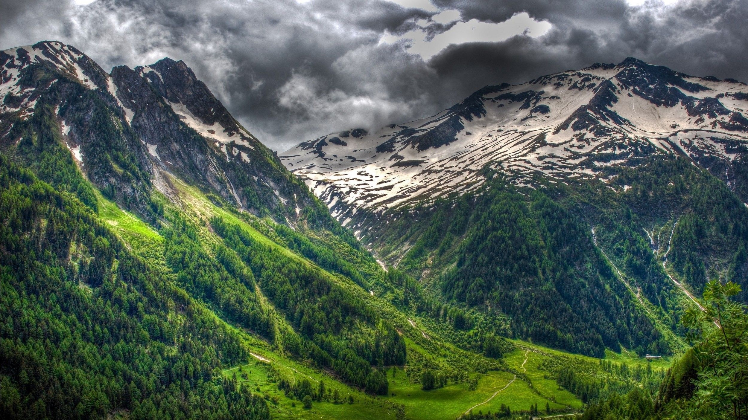 Snow-capped Swiss Alps, Pine-covered mountain valley, Stormy alpine sky, HD Desktop wallpaper