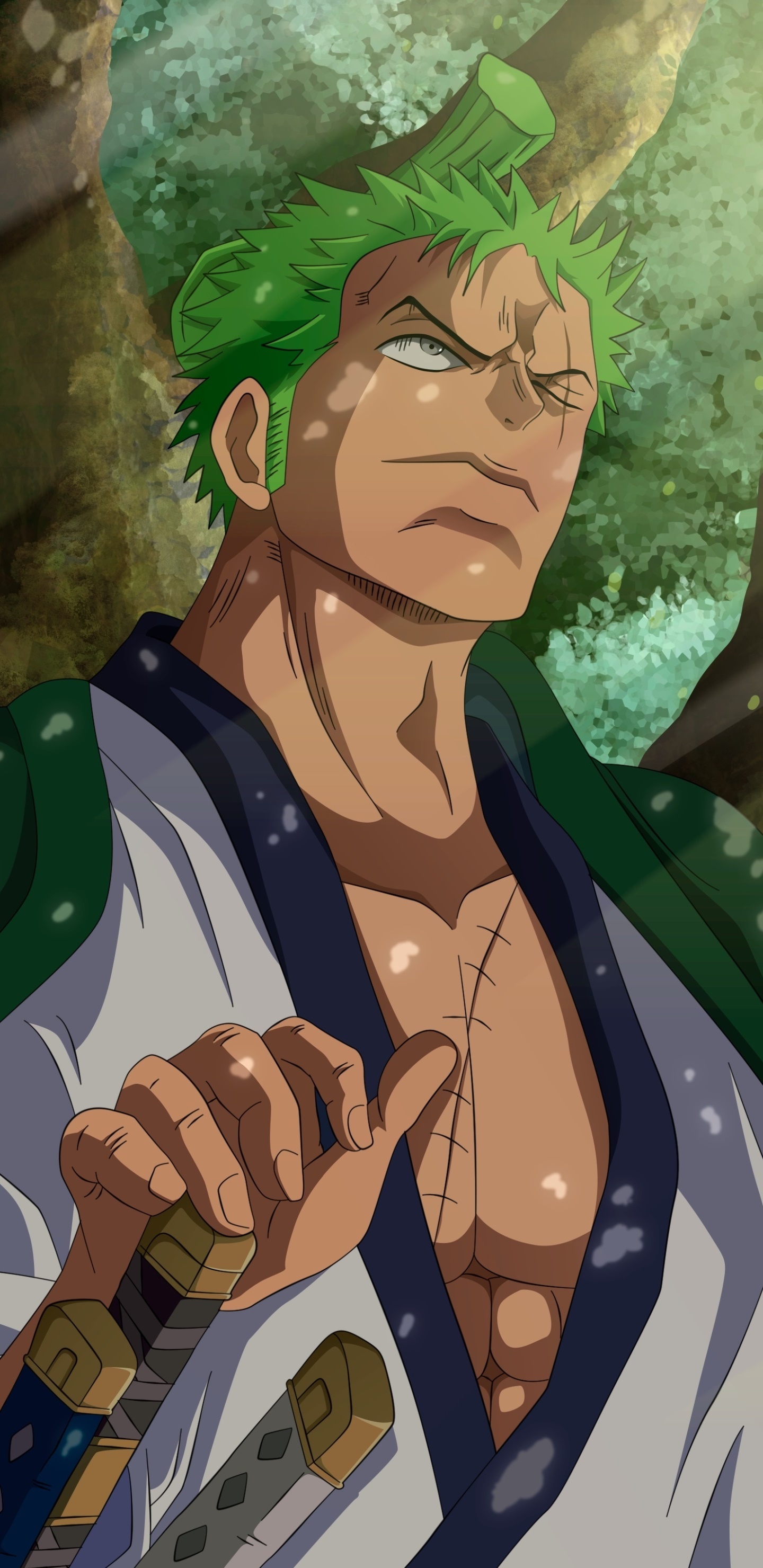 Roronoa Zoro, Wano Country arc, katana hilt, HD Phone wallpaper