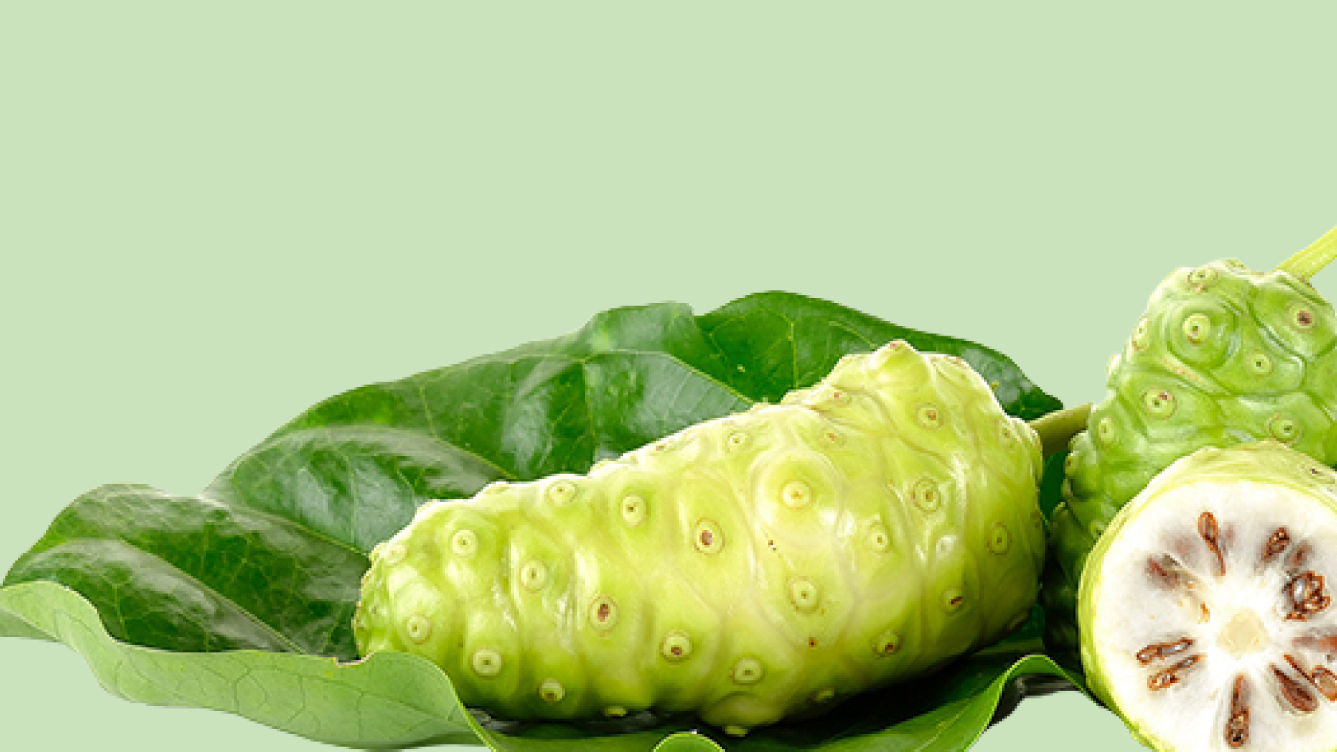 Noni Fruit, Raw powder, Organic product, Optimally organic, 1920x1080 Full HD Desktop