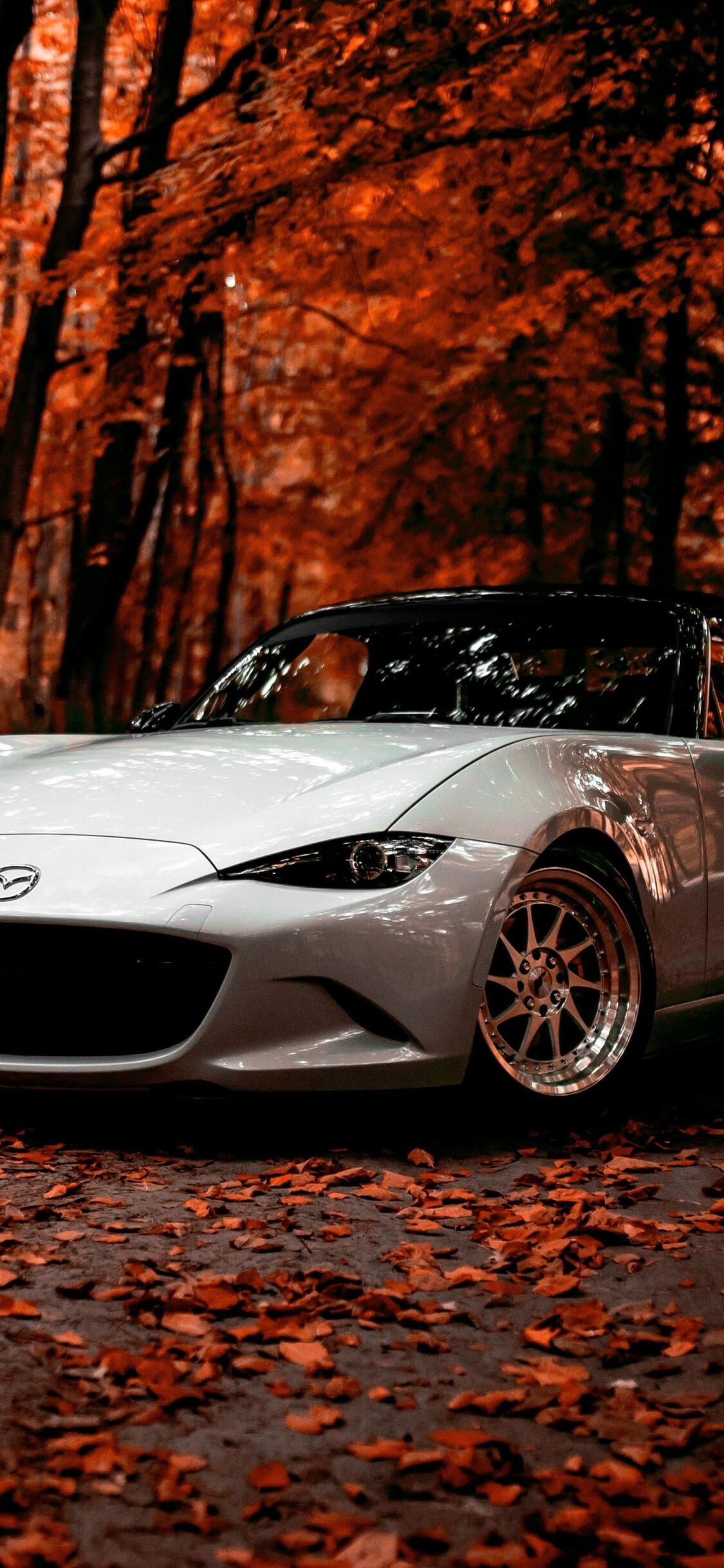 Mazda Auto, Off-road adventures, Autumn season, Sports car, 1130x2440 HD Phone