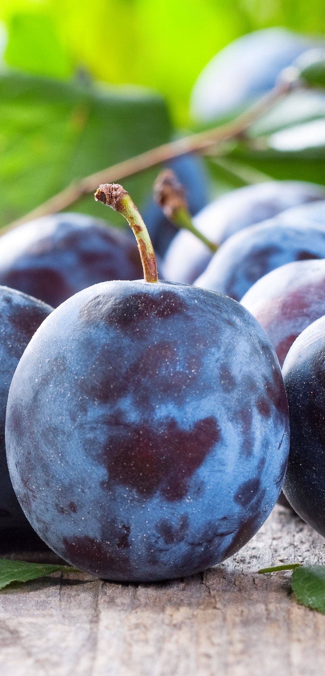 Plum fruit, 4K wallpaper, 1080x2250 HD Phone