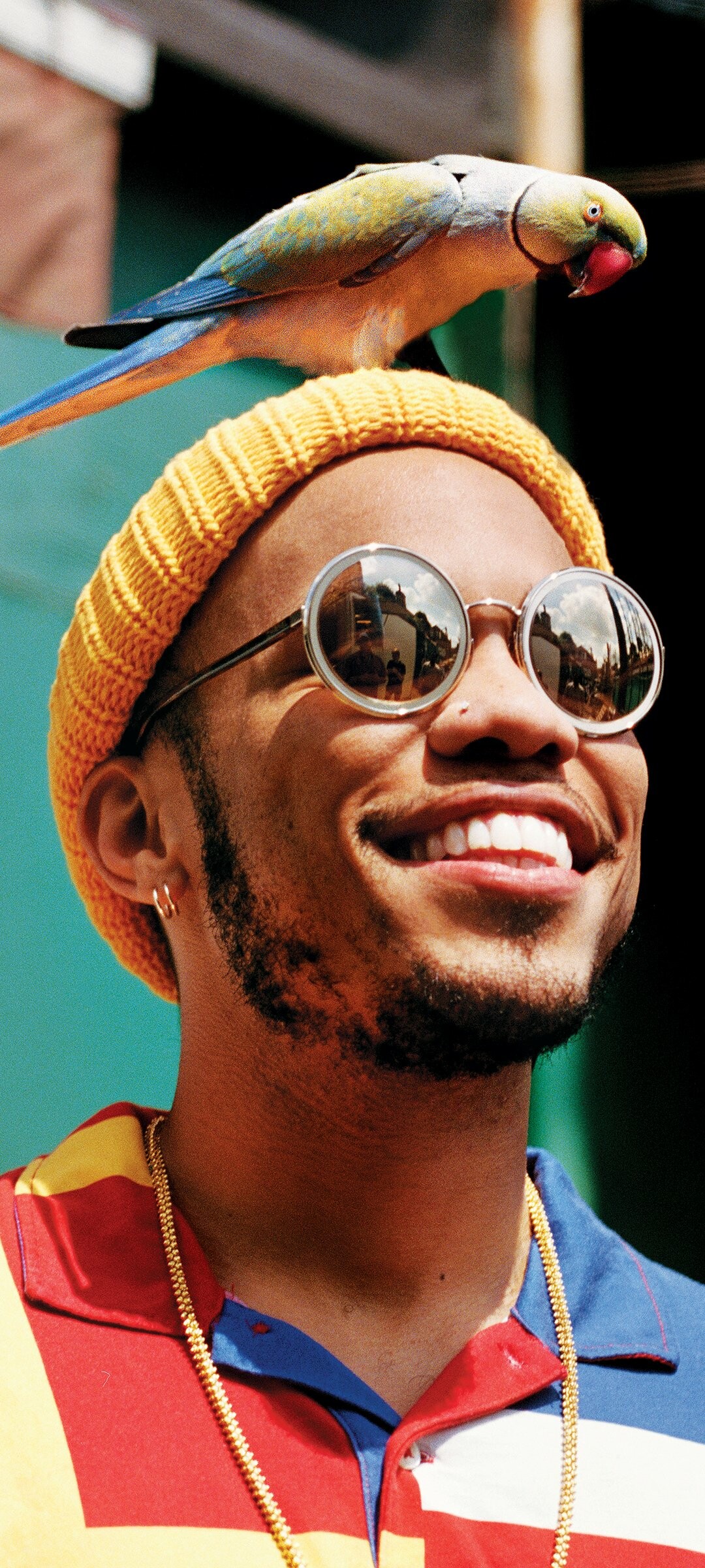 Anderson. Paak, Musical talent, Genre-blending sound, Celebrated artist, 1080x2400 HD Phone