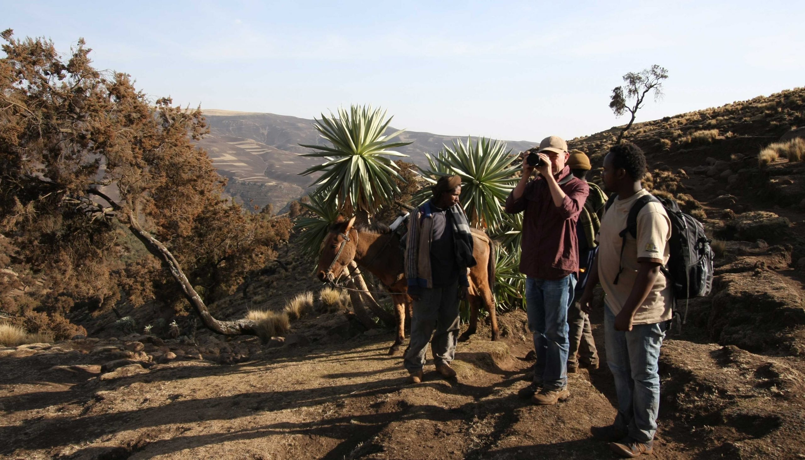 Bale Mountains National Park, Trekking, Aman Ethiopia Tours, 2560x1470 HD Desktop