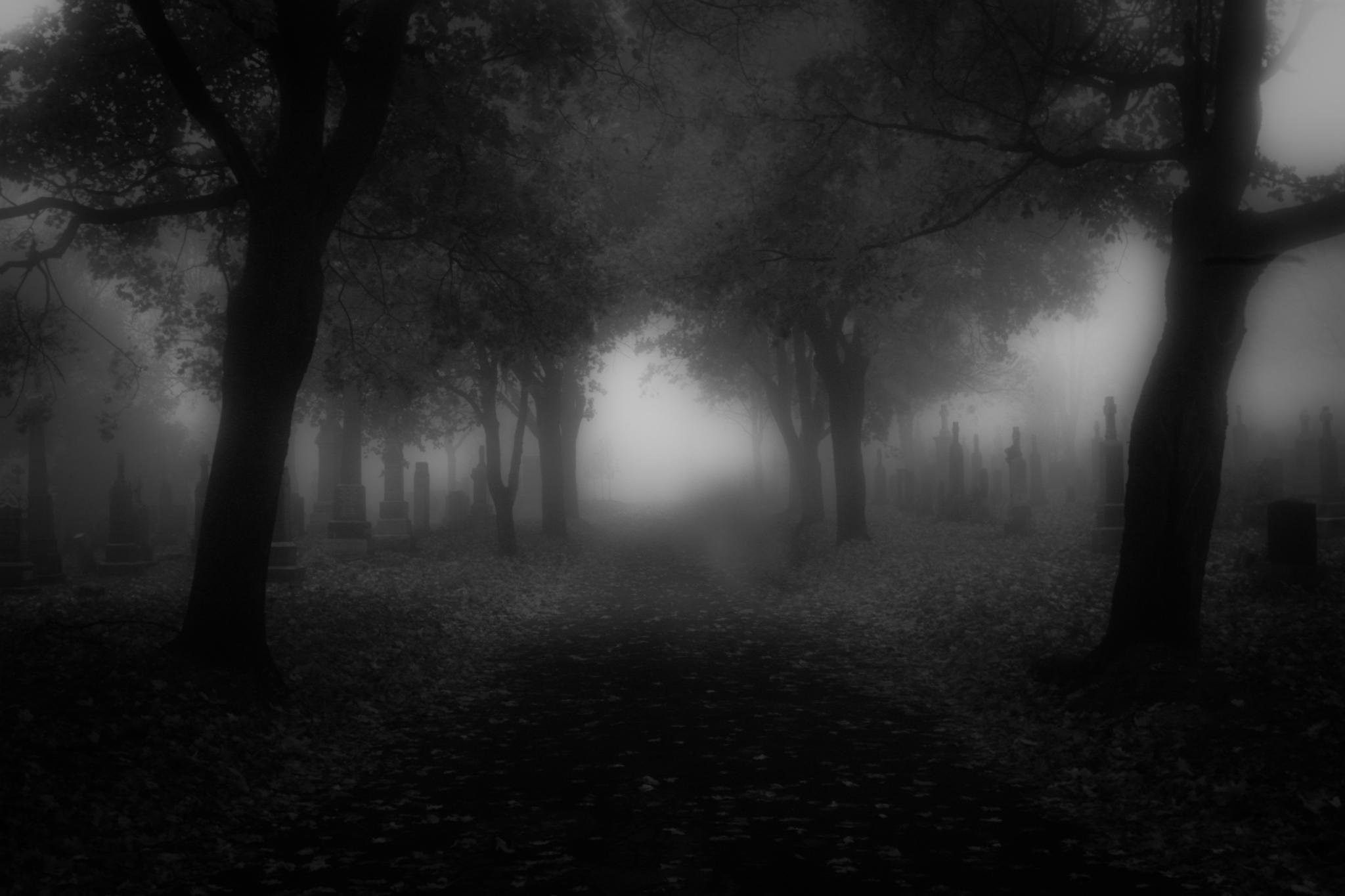 Cemetery, Haunted Forest Wallpaper, 2050x1370 HD Desktop