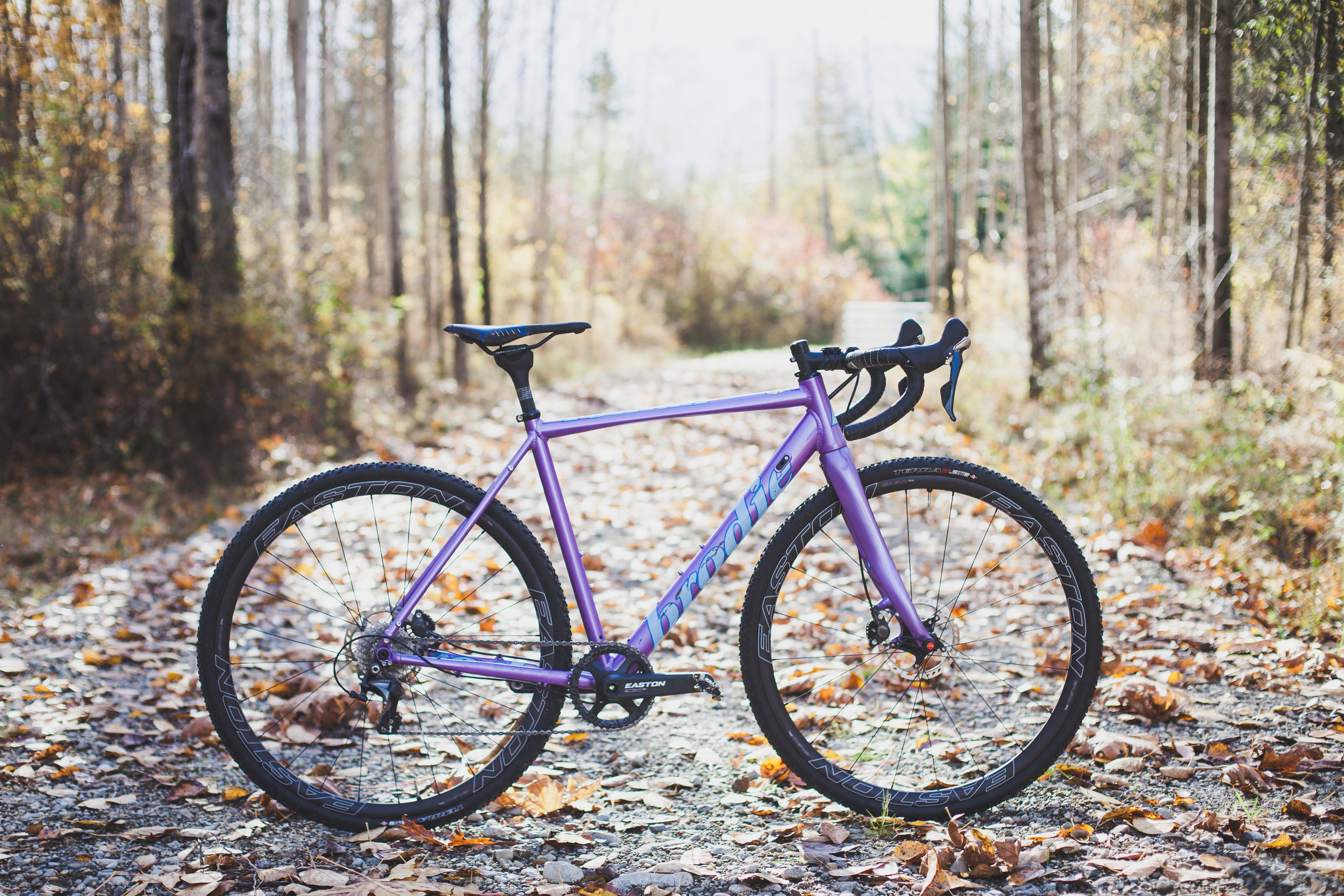 Skeletor Romax, Brodie Bicycles Wallpaper, 2500x1670 HD Desktop