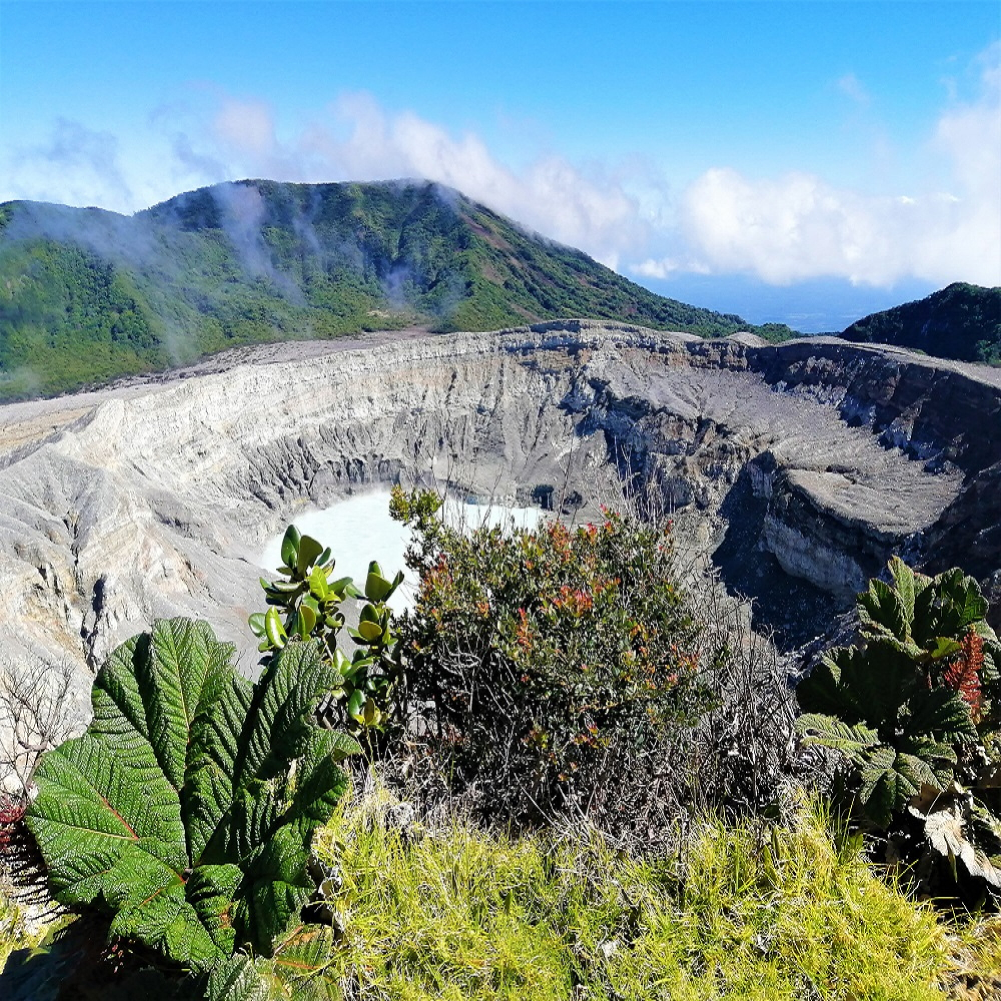 Poas National Park, Volcan Poas Combo Tour, Paradise, 2000x2000 HD Phone