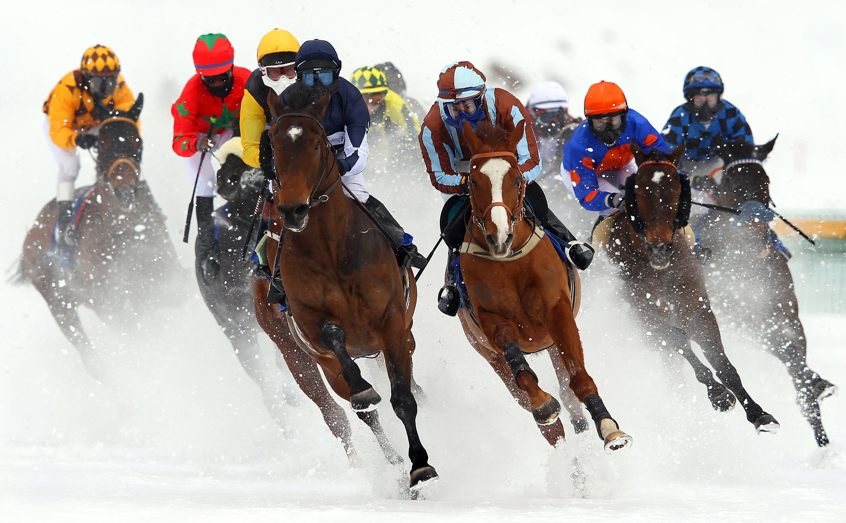 Thrilling horse race, Horse racing action, Equestrian sport excitement, Jockey competition, 3490x2160 HD Desktop