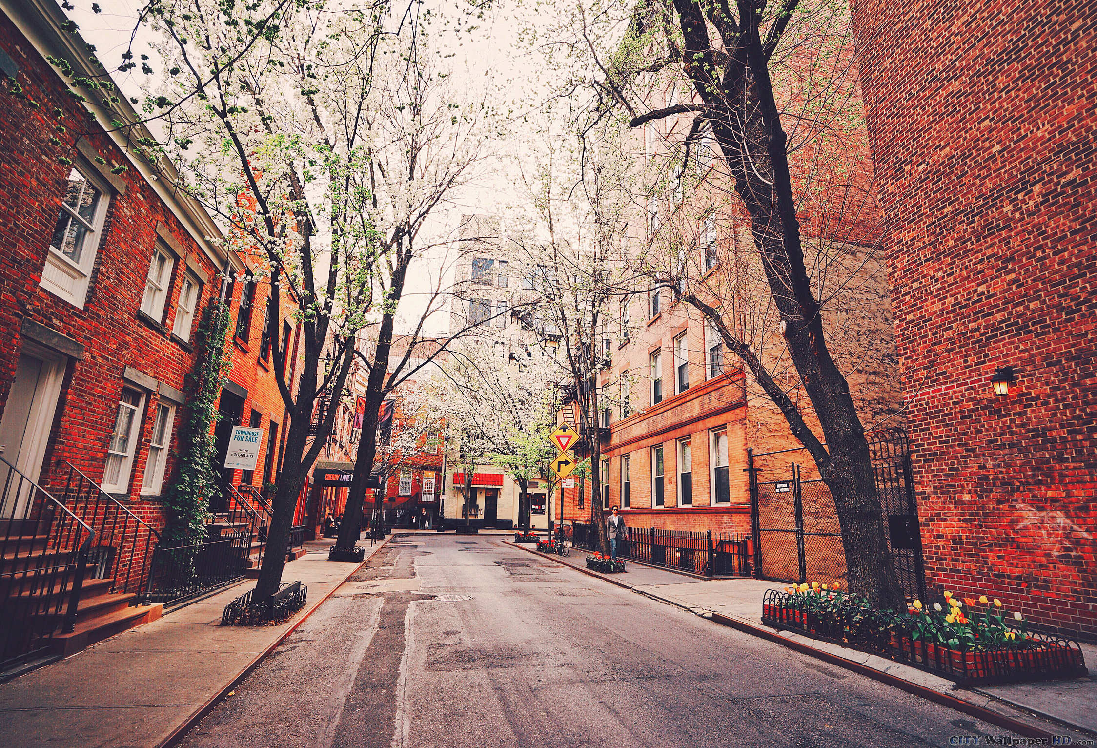 New York Streets, Travels, Citylife, Metropolitan Vibes, 2250x1540 HD Desktop