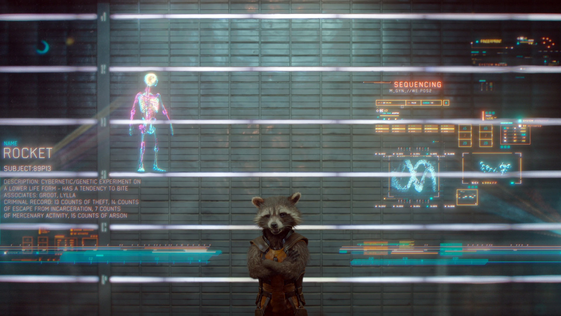 Free download, Rocket Raccoon, Guardians of the Galaxy, HD wallpaper, 1920x1080 Full HD Desktop
