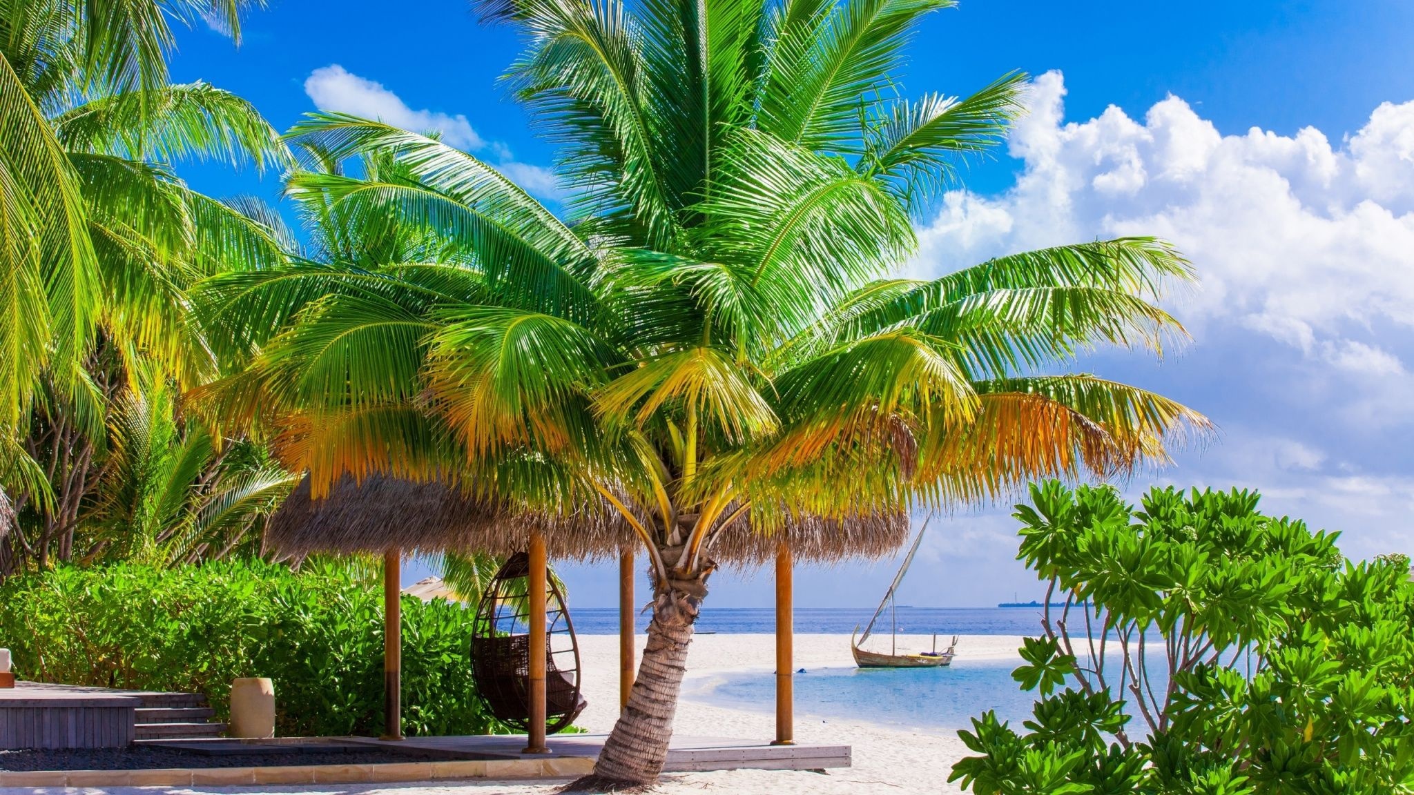 Coconut palm tree, Thatched beach cabana, Hanging wicker egg chair, HD Desktop wallpaper