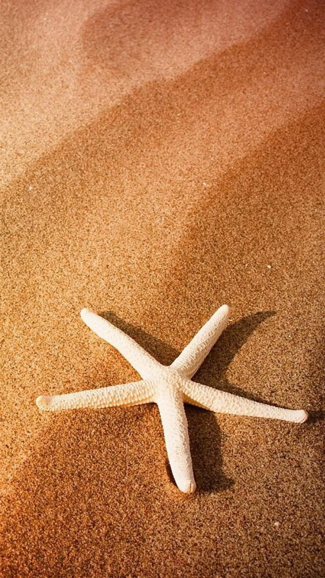 Starfish, Animals, Android, Ryan, 1080x1920 Full HD Phone