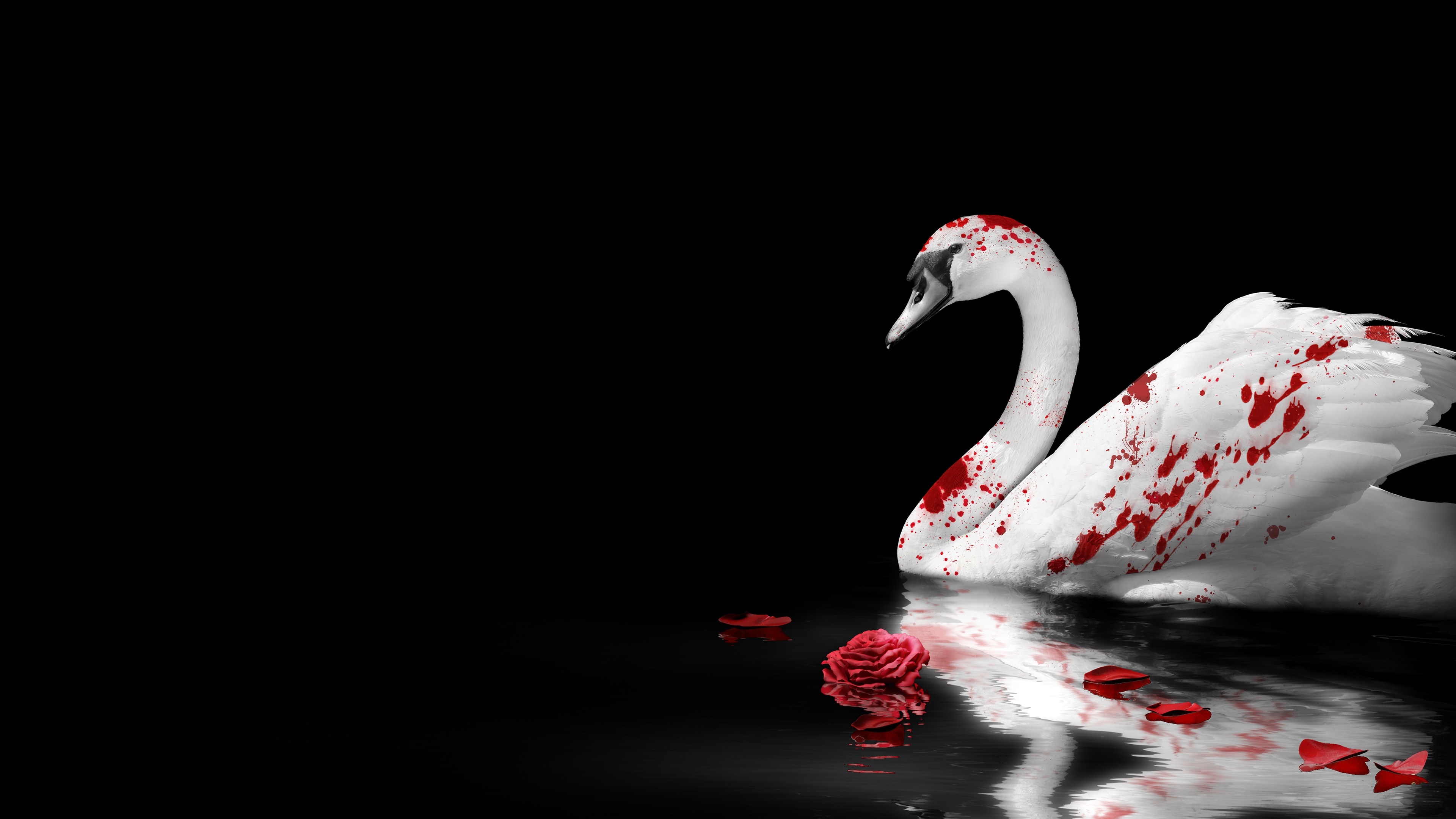Vampire: The Masquerade - Swansong, Primogen edition, Exclusive game edition, Special features, 3840x2160 4K Desktop