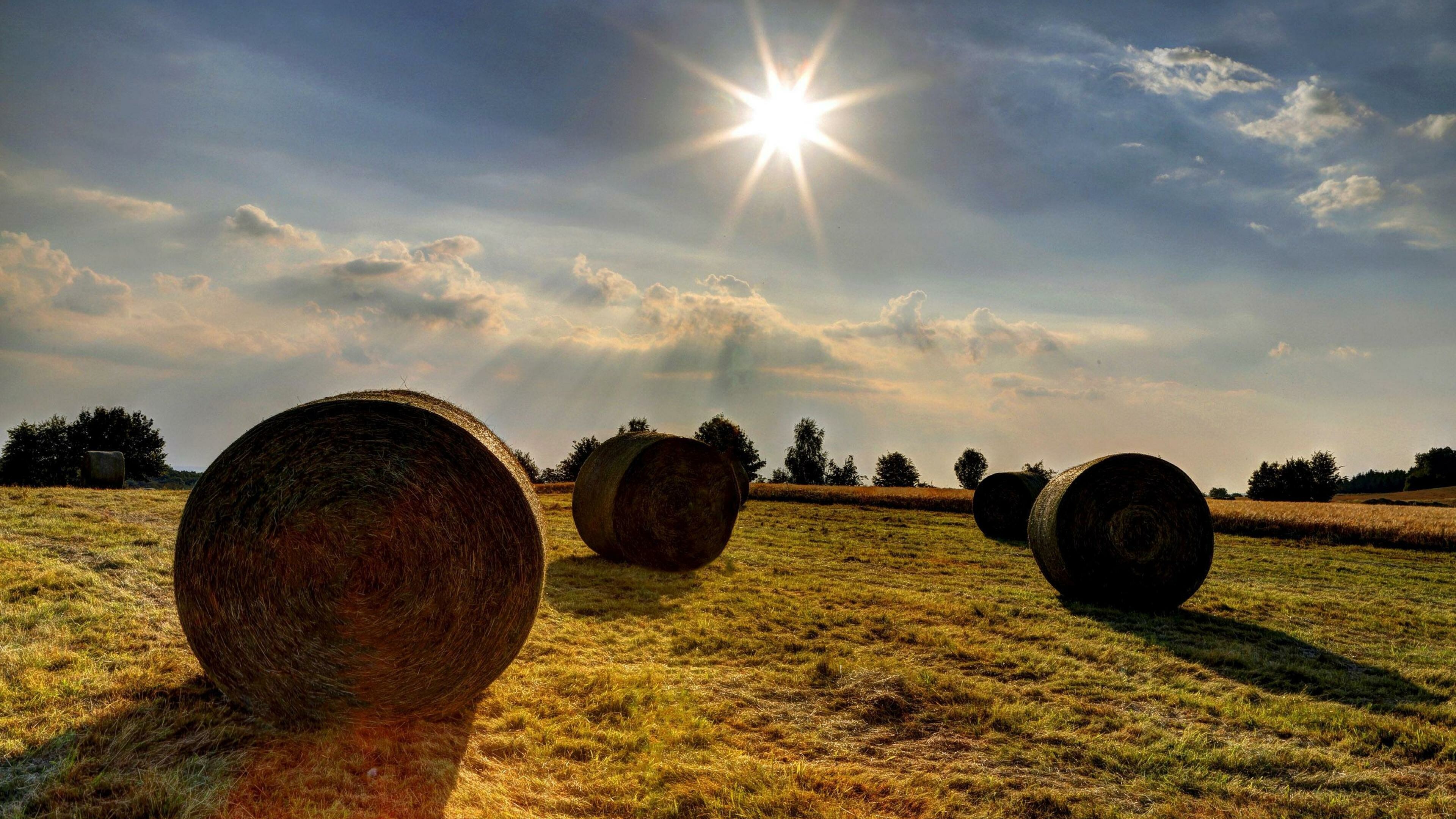 Sunny day, Sun Wallpaper, 3840x2160 4K Desktop