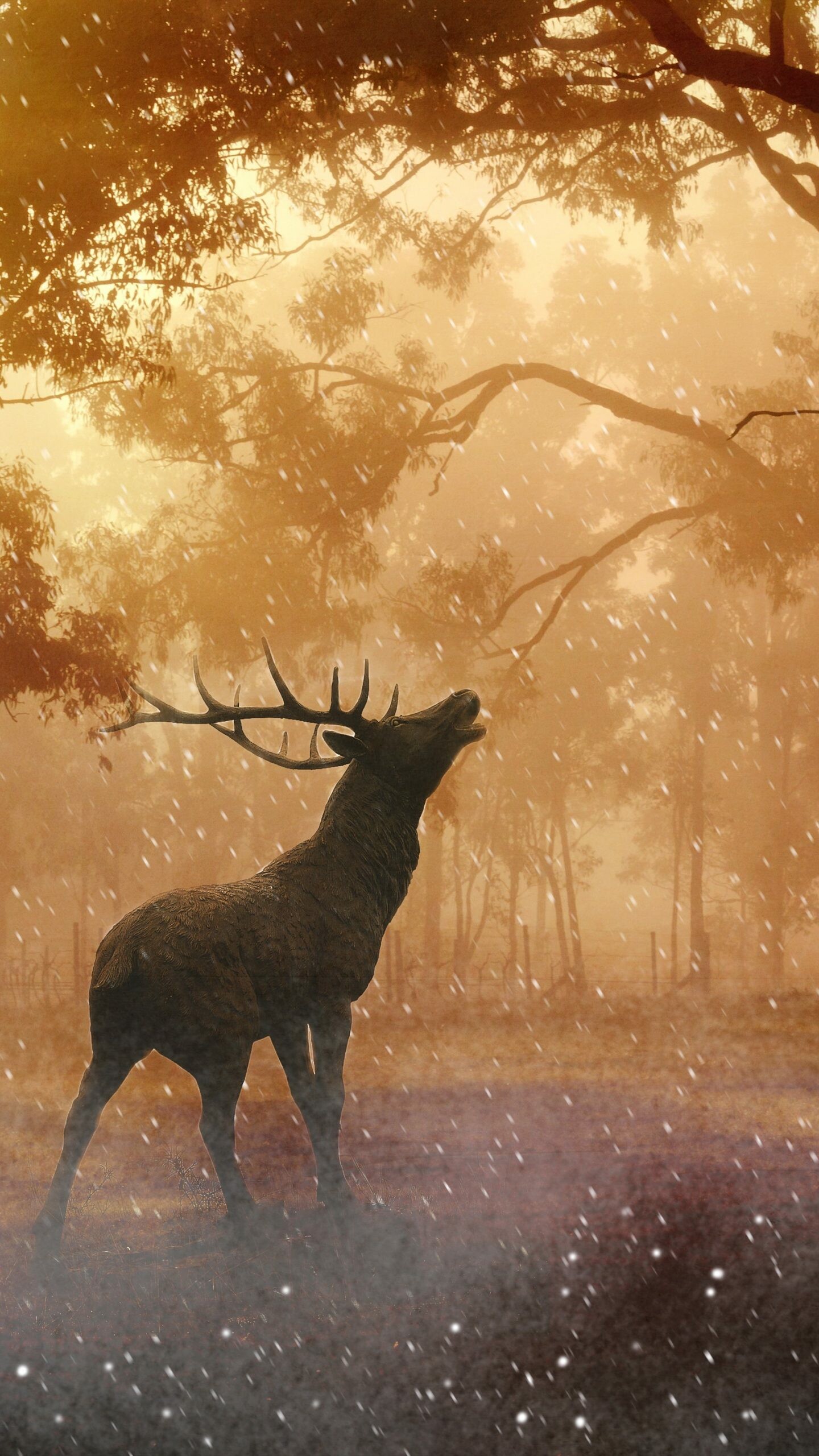 Mystic deer, Enchanting forest, 4K UHD, Wallpaper, 1440x2560 HD Phone