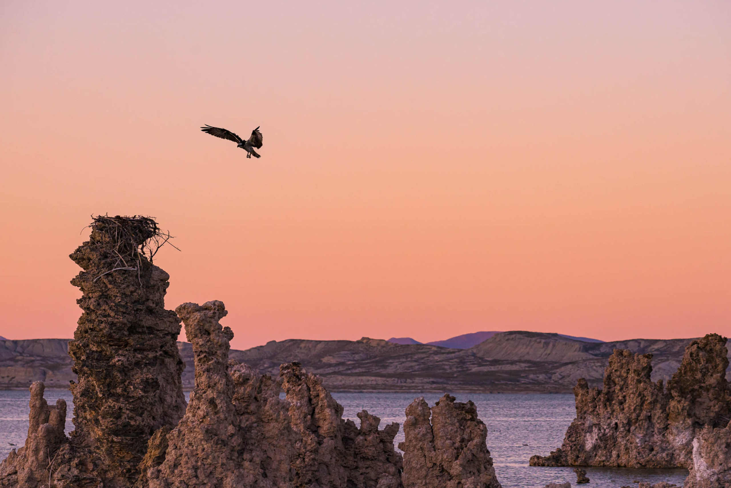 Mono Lake beauty, Joshua Cripps photography, Travel escapades, Nature's marvel, 2560x1710 HD Desktop