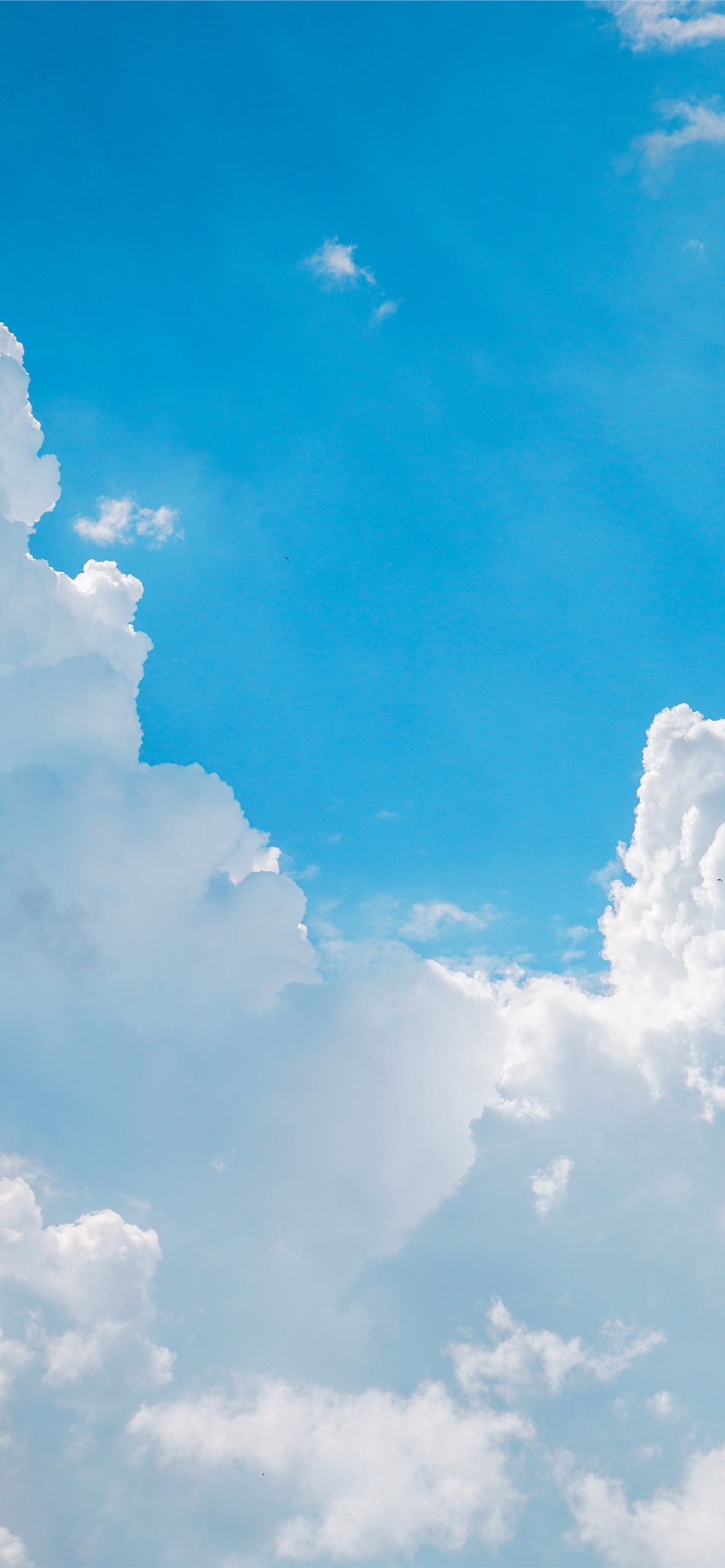 white cumulus clouds, bright azure sky, sunlit cloudscape, HD Phone wallpaper