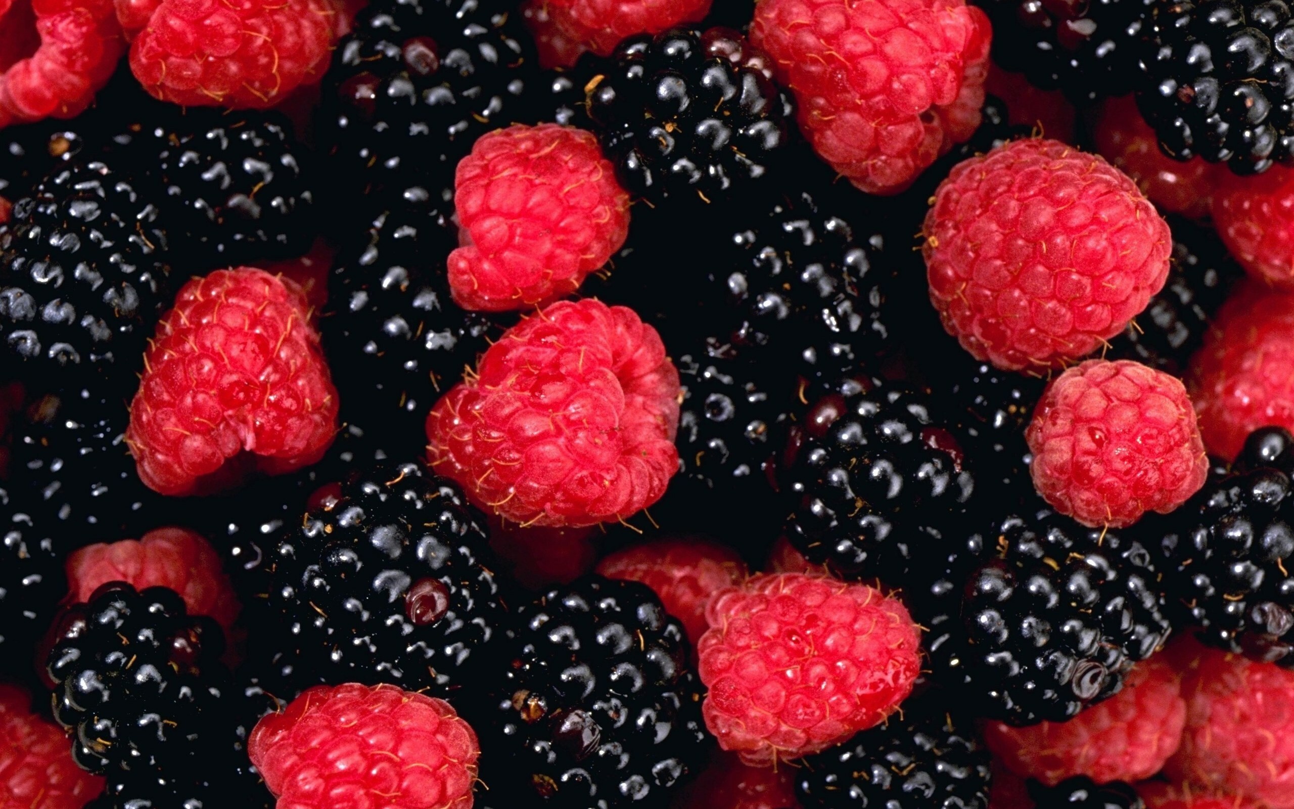 Free fruit, Bountiful wallpapers, Fresh and juicy, Nature's goodness, 2560x1600 HD Desktop