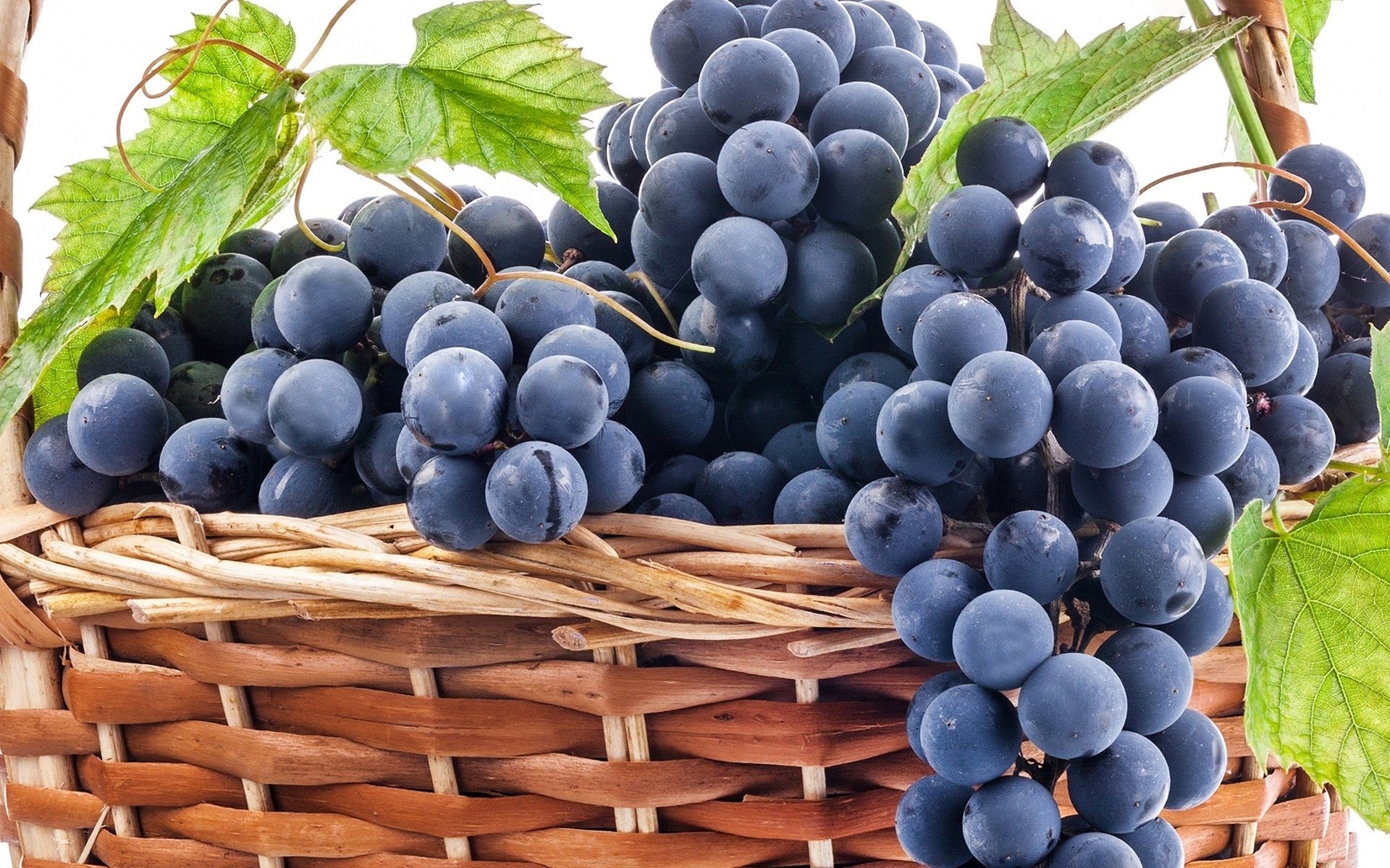 Moldova, Grapes Wallpaper, 1920x1200 HD Desktop