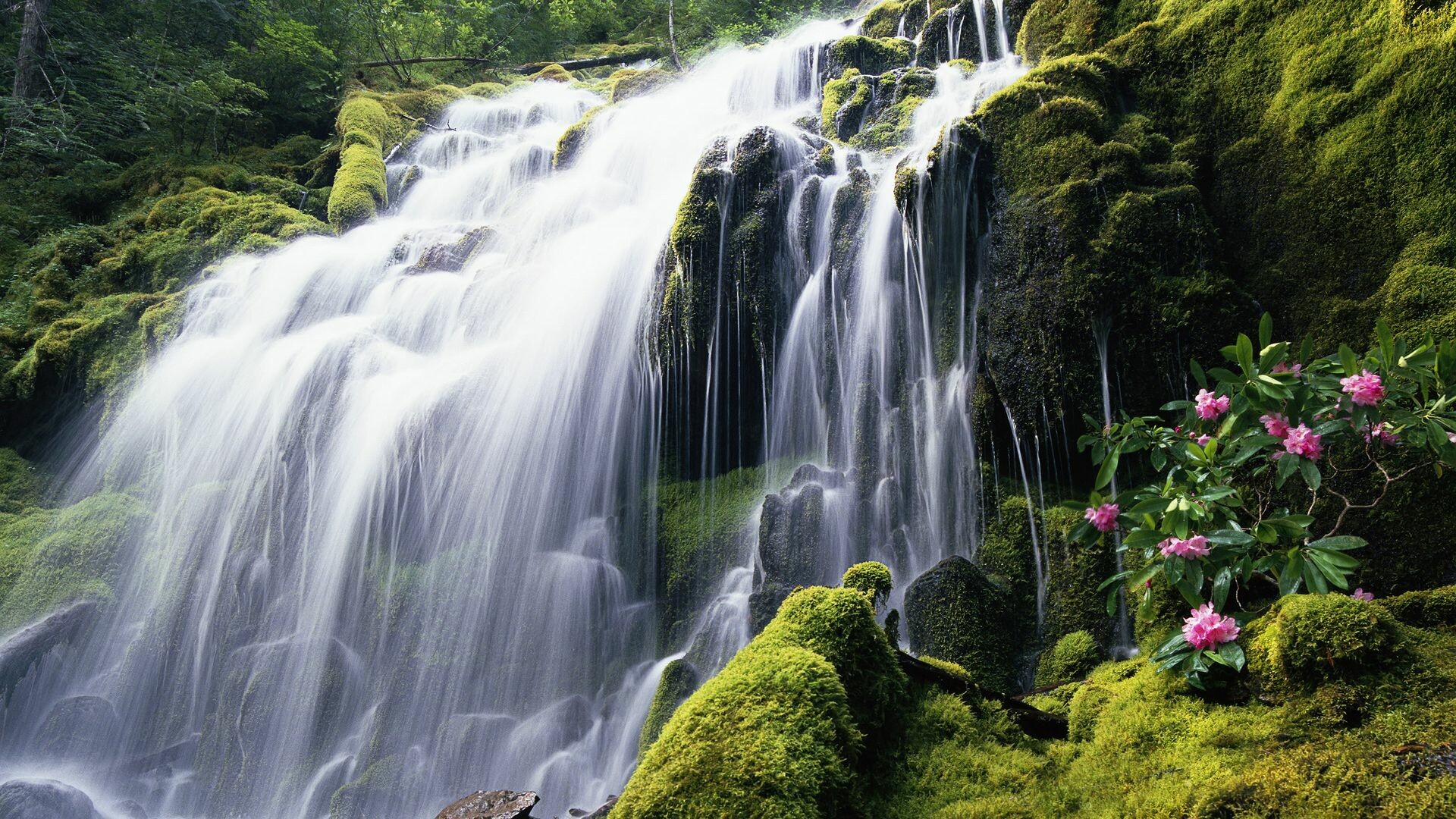 Full HD waterfall, Free download, PC wallpaper, Captivating beauty, 1920x1080 Full HD Desktop