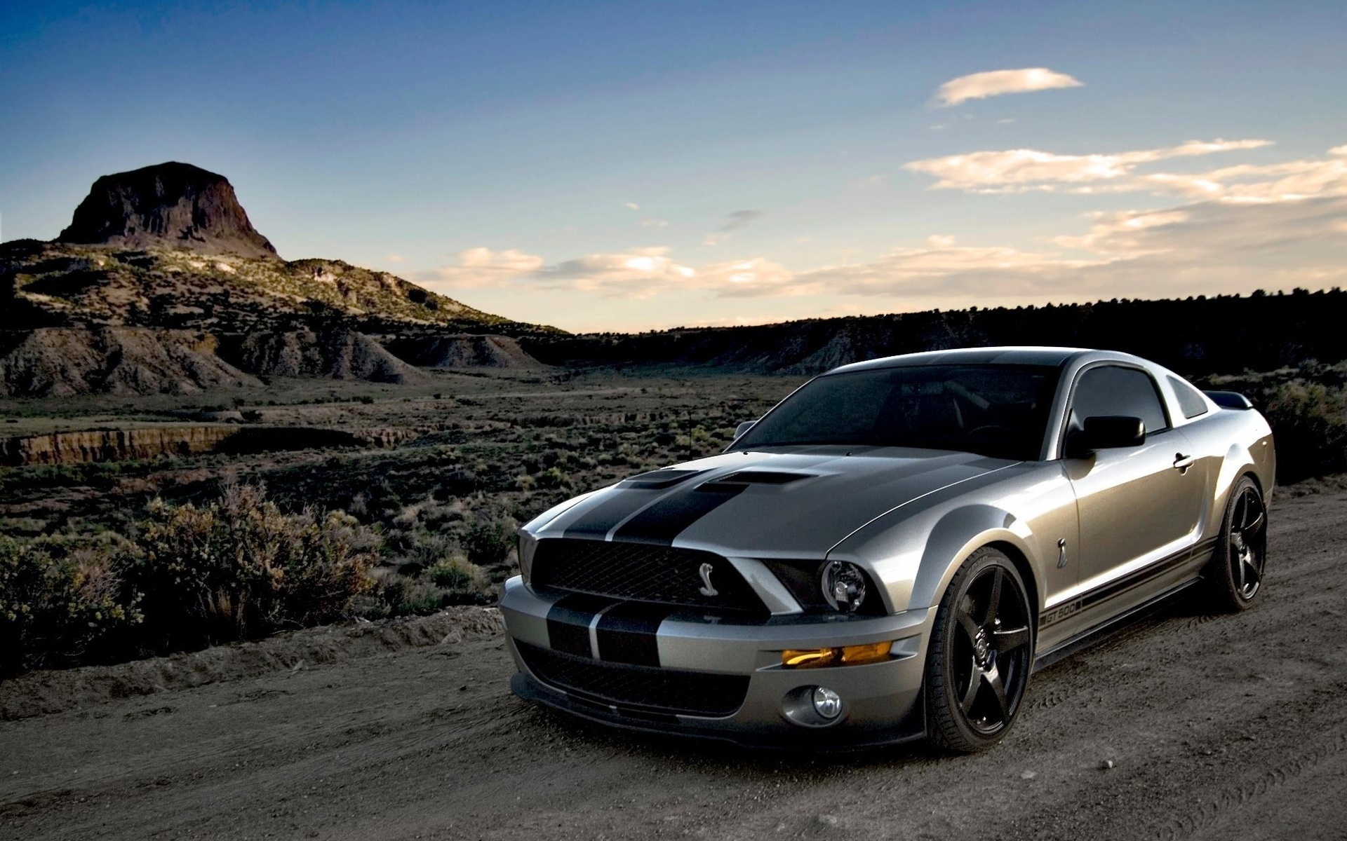 Shelby Cobra 2005, Mustang Wallpaper, 1920x1200 HD Desktop